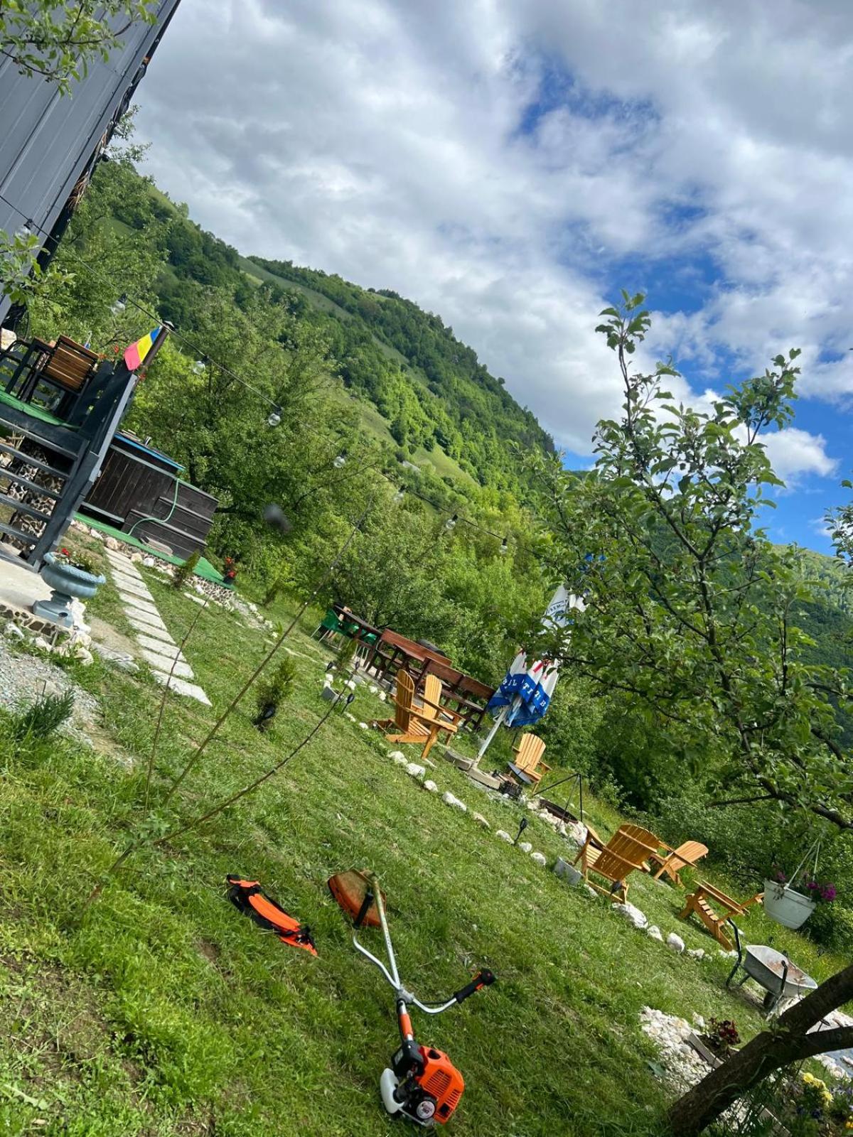 Cabana Apuseni Forest
