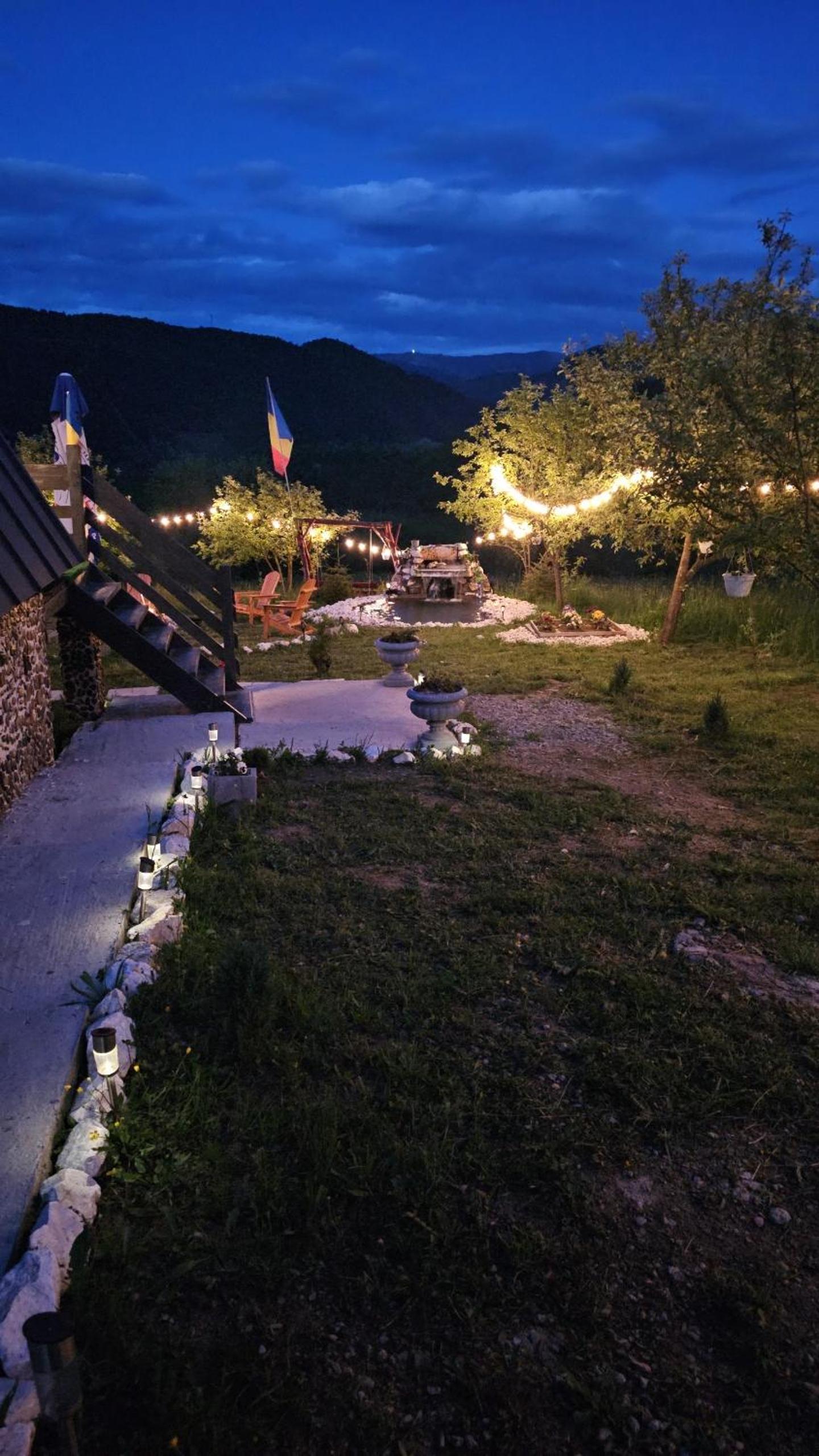 Cabana Apuseni Forest