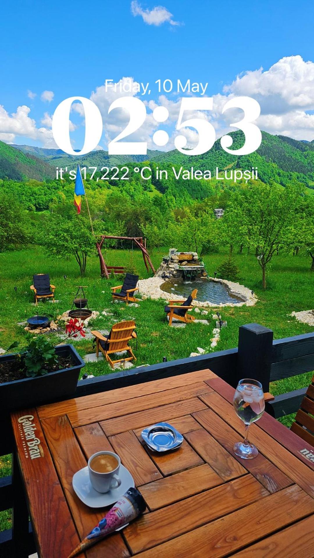 Cabana Apuseni Forest