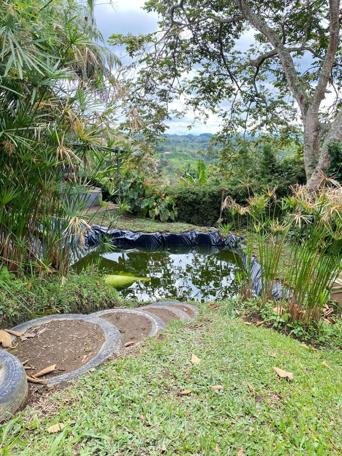 Hospedaje Mirador La Aurora Filandia