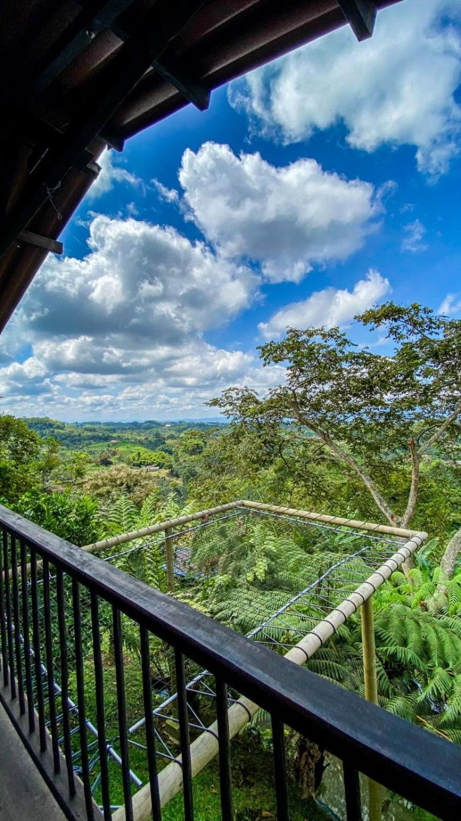 Hospedaje Mirador La Aurora Filandia