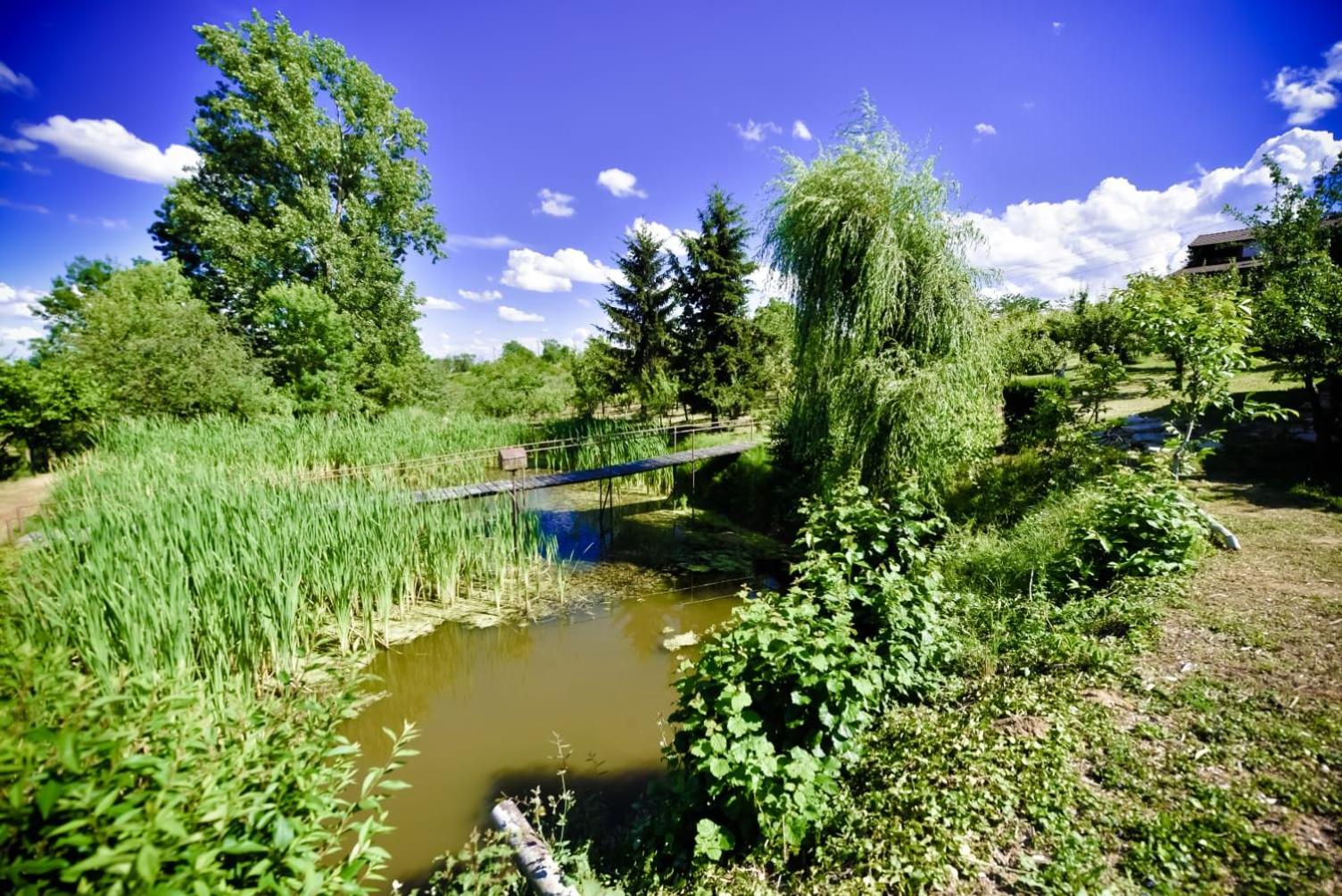 Garden of Eden view 3