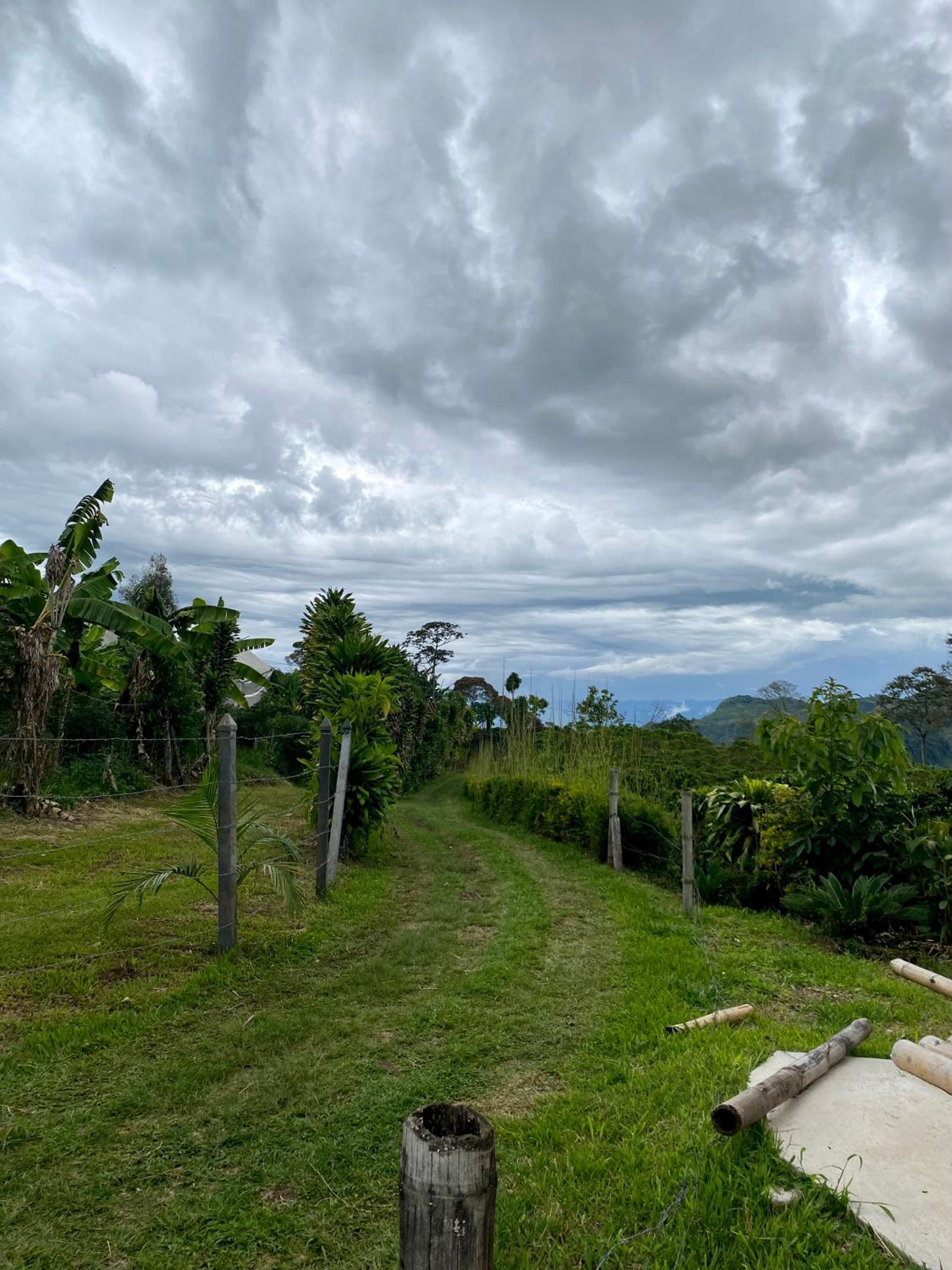 Finca el milagro