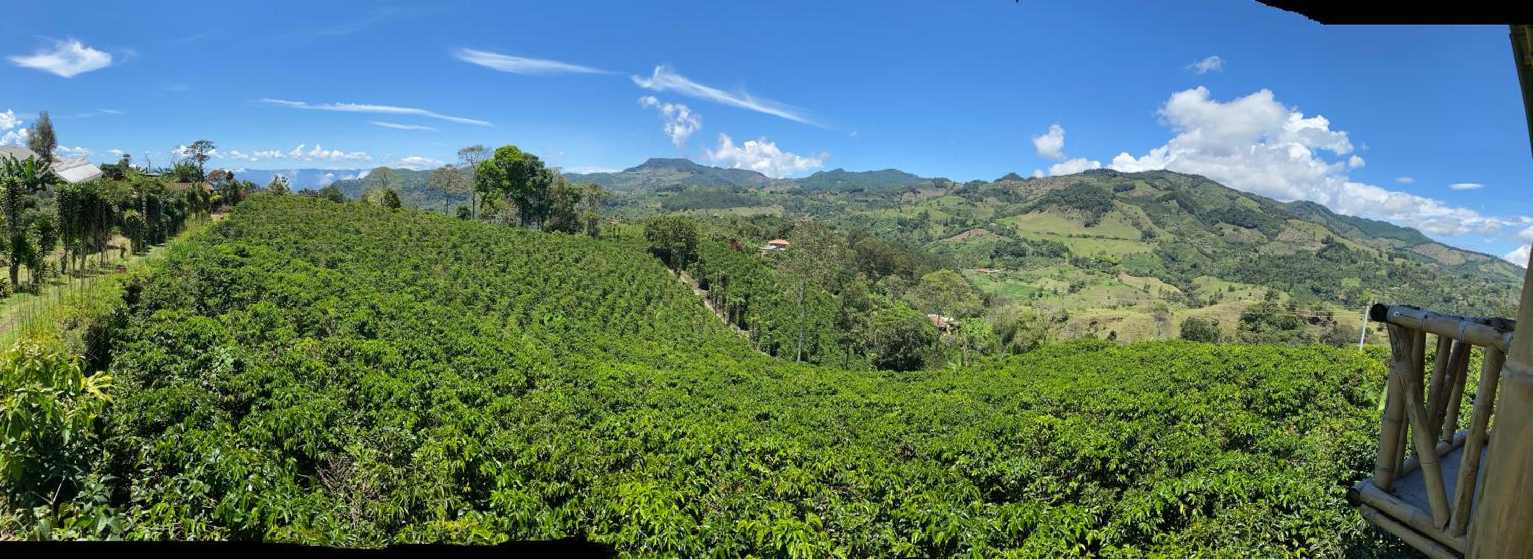 Finca el milagro