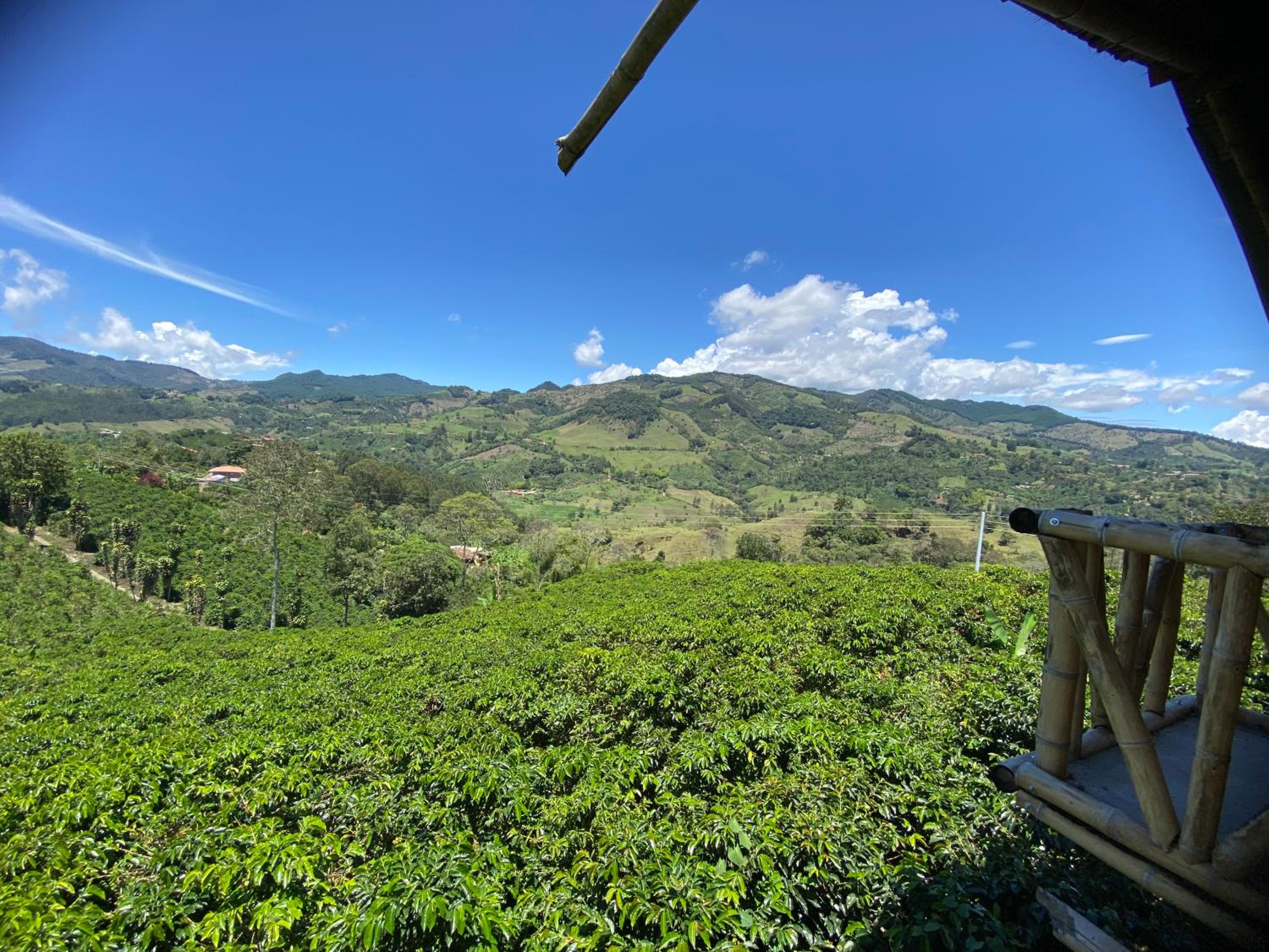 Finca el milagro