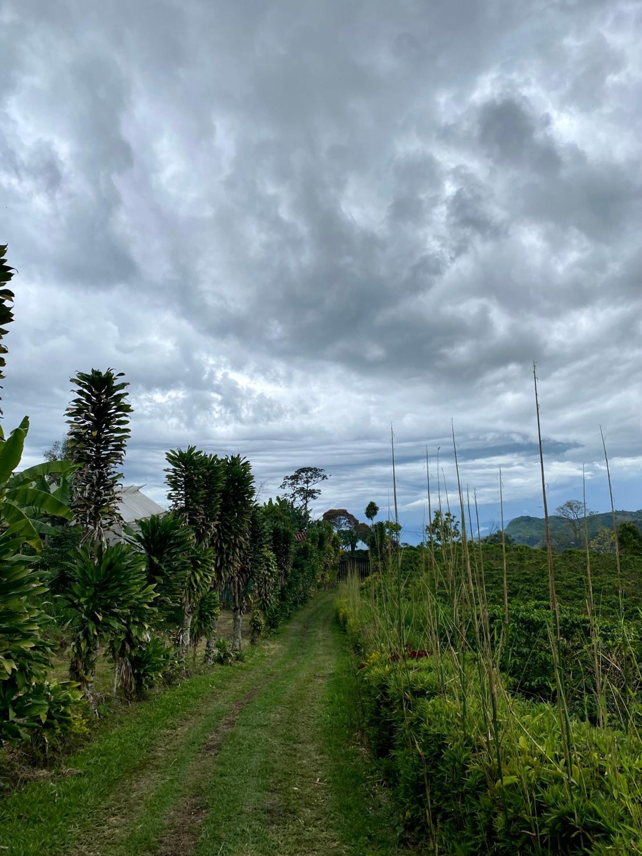 Finca el milagro