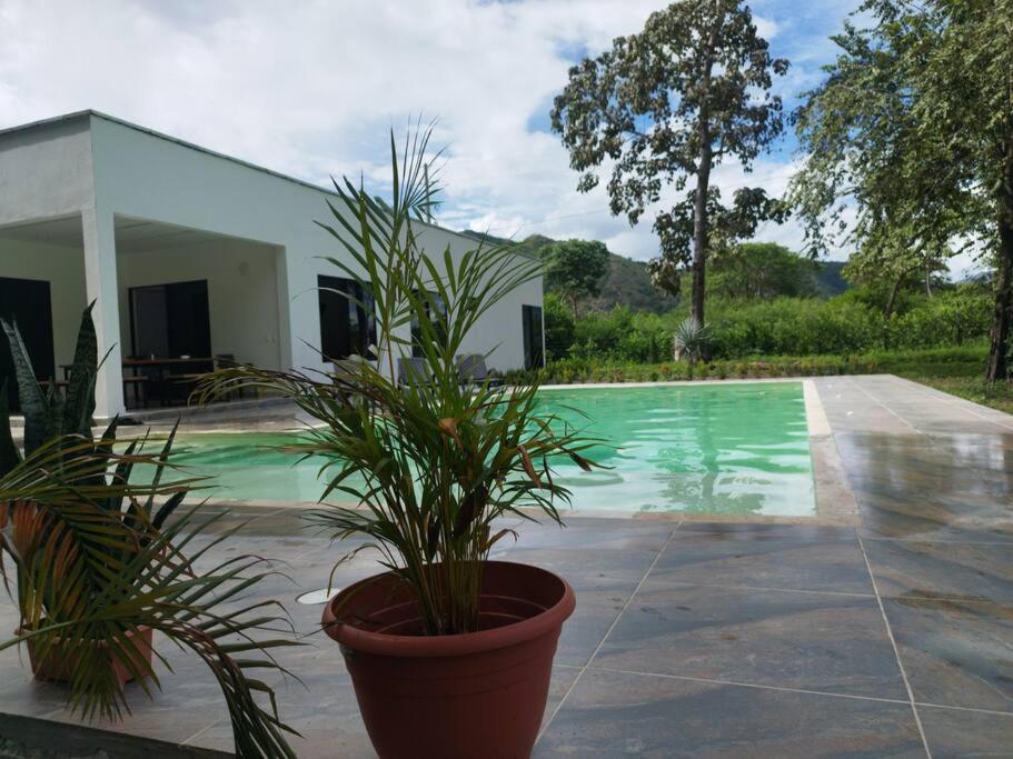Finca Villa Cleo