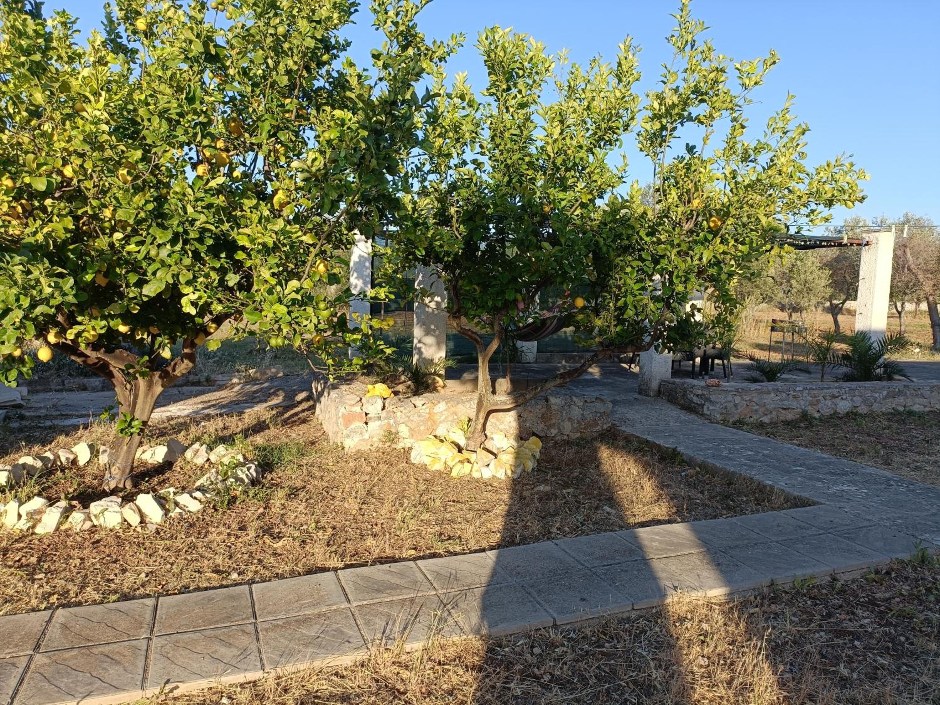 Photo 23