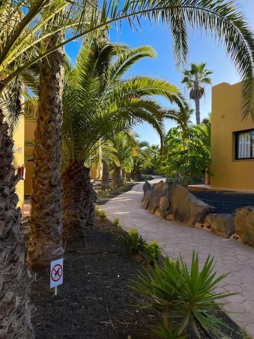 Oasis La Palmera by Rentalfue