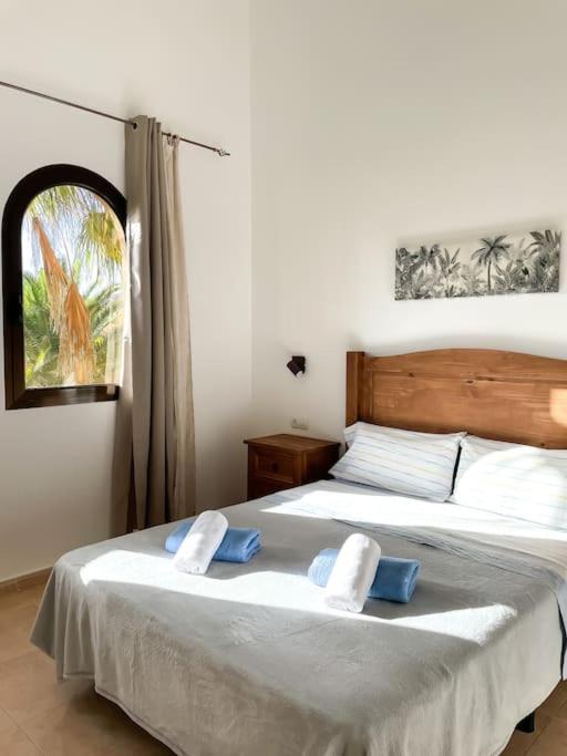Oasis La Palmera by Rentalfue