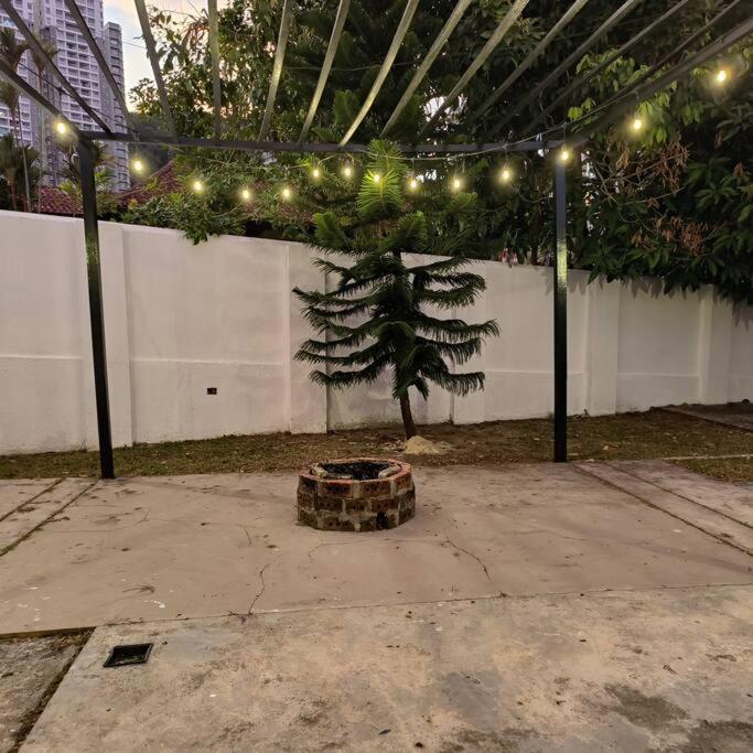 Photo 23