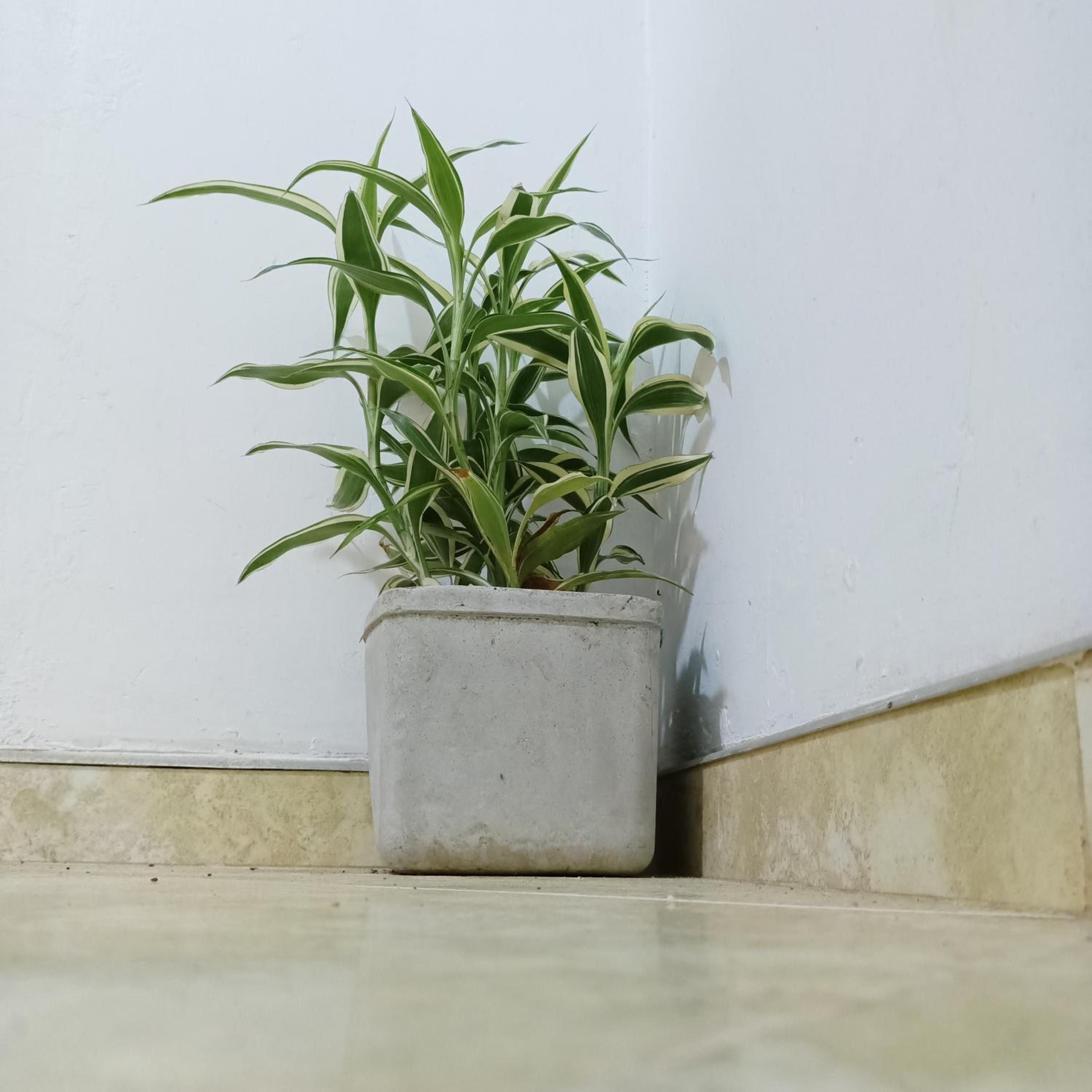Photo 47