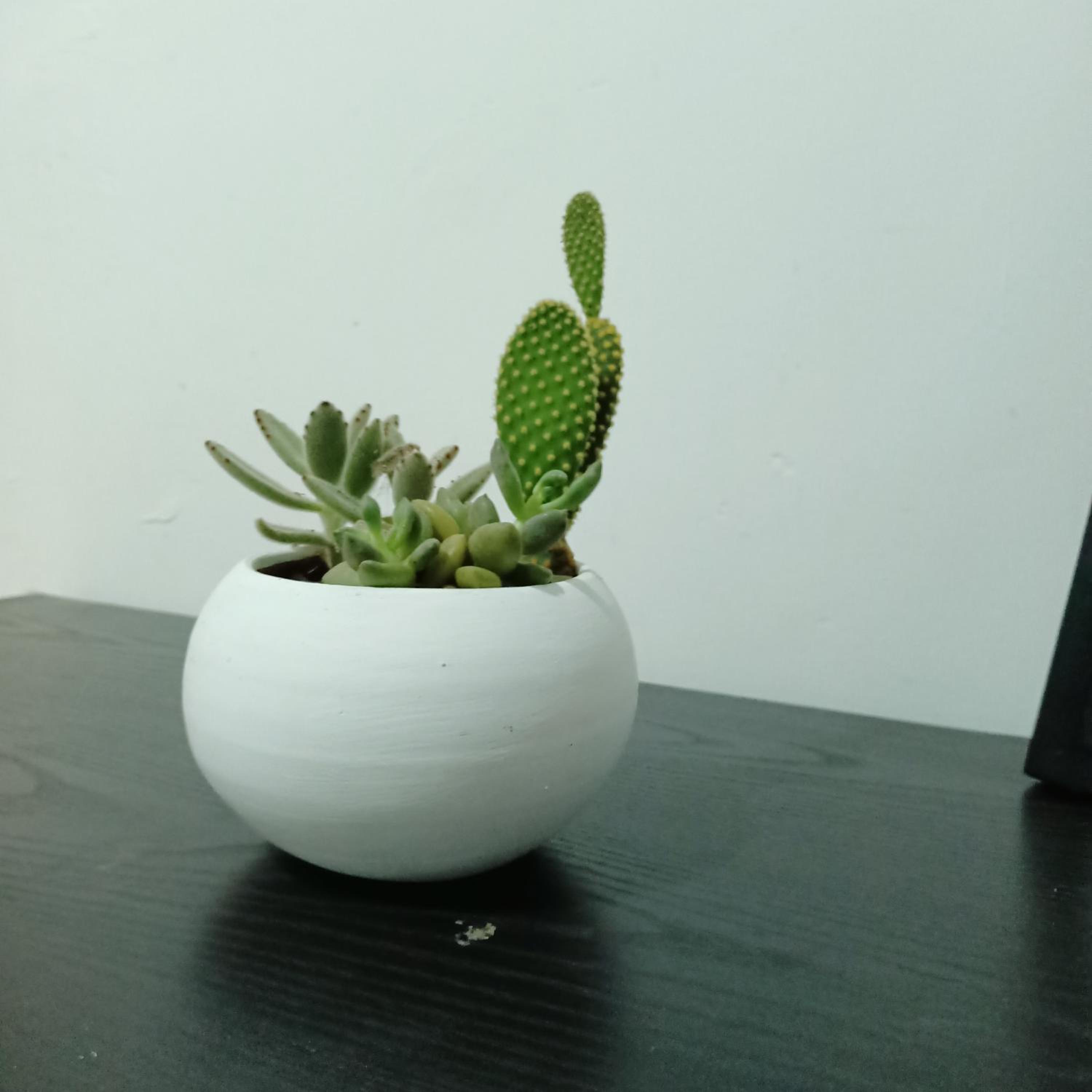 Photo 16