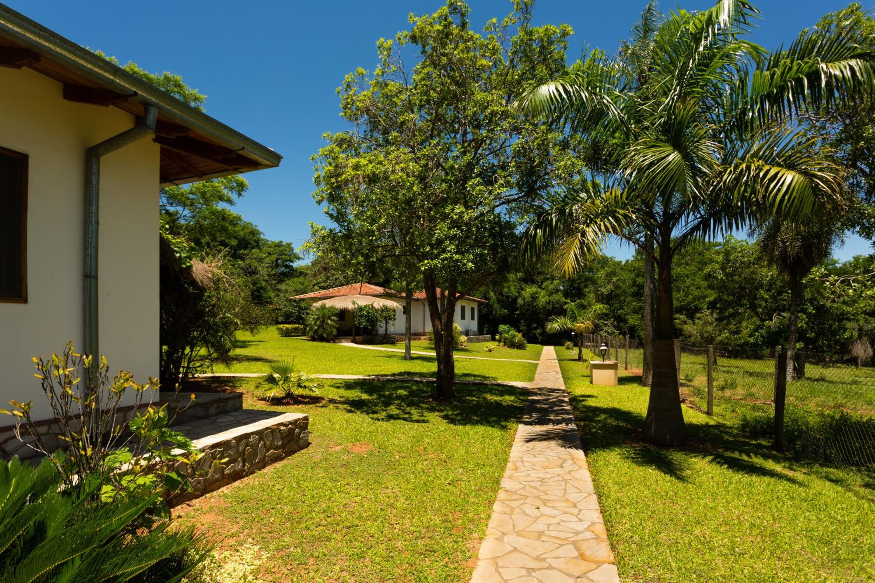 Mbuni Granja de Avestruz view 3