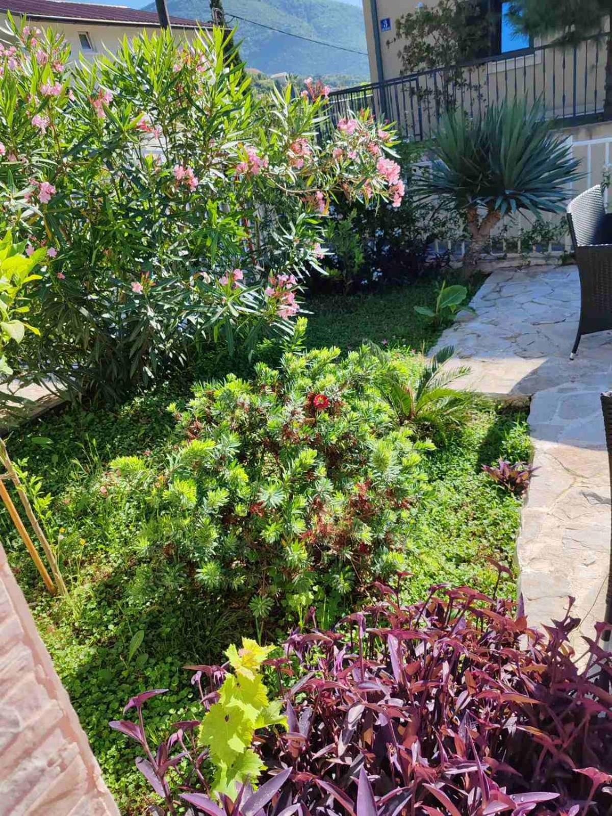 Casa Mare 1 photo 2