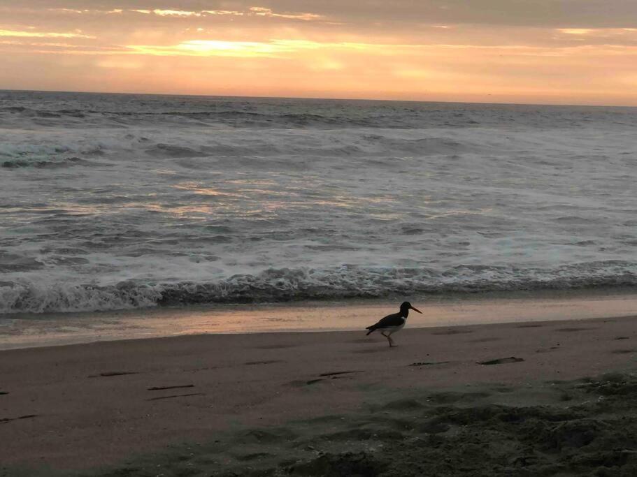 Descanso frente al mar