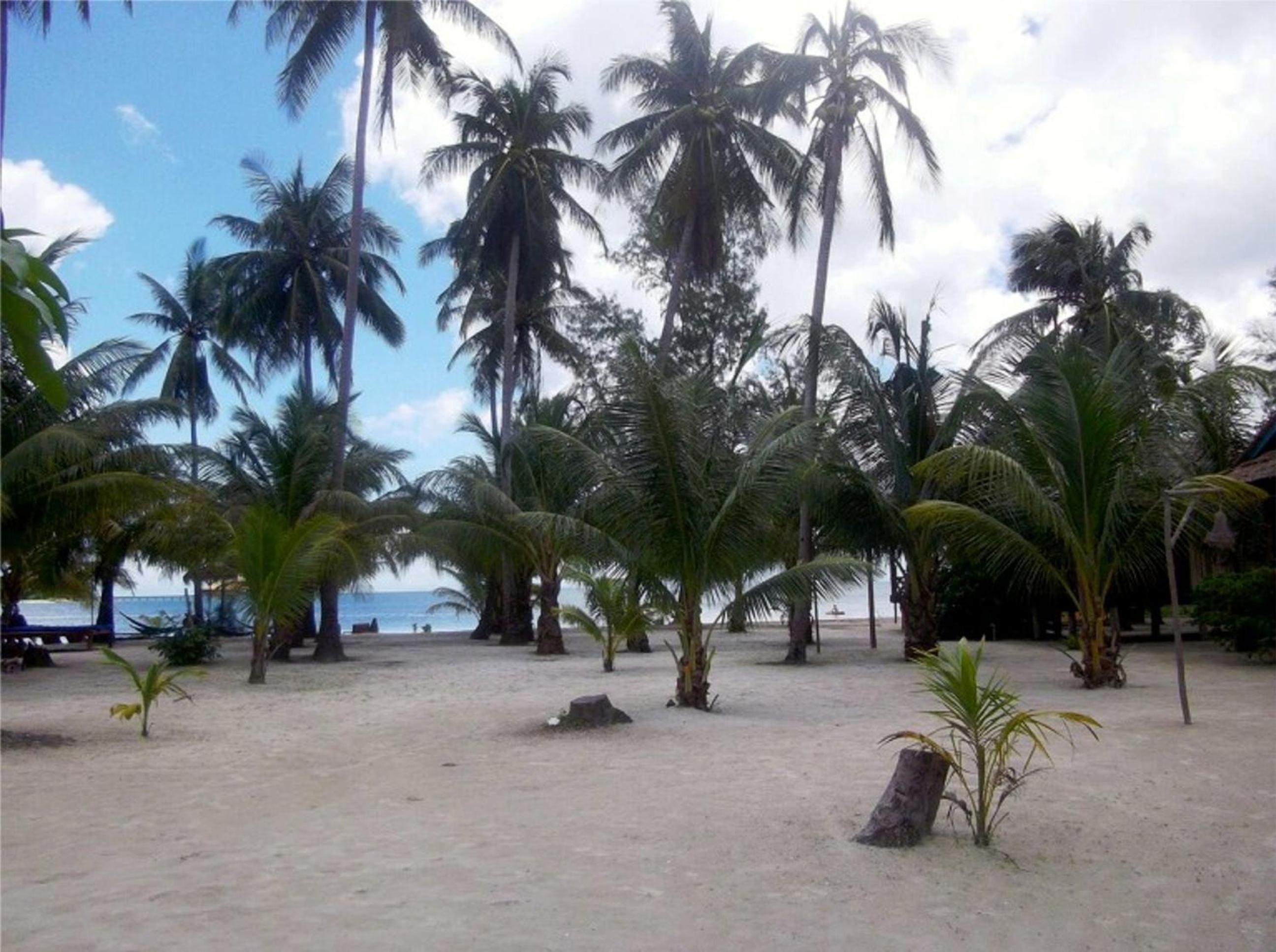 Palm Beach Bungalow Resort — photo 76