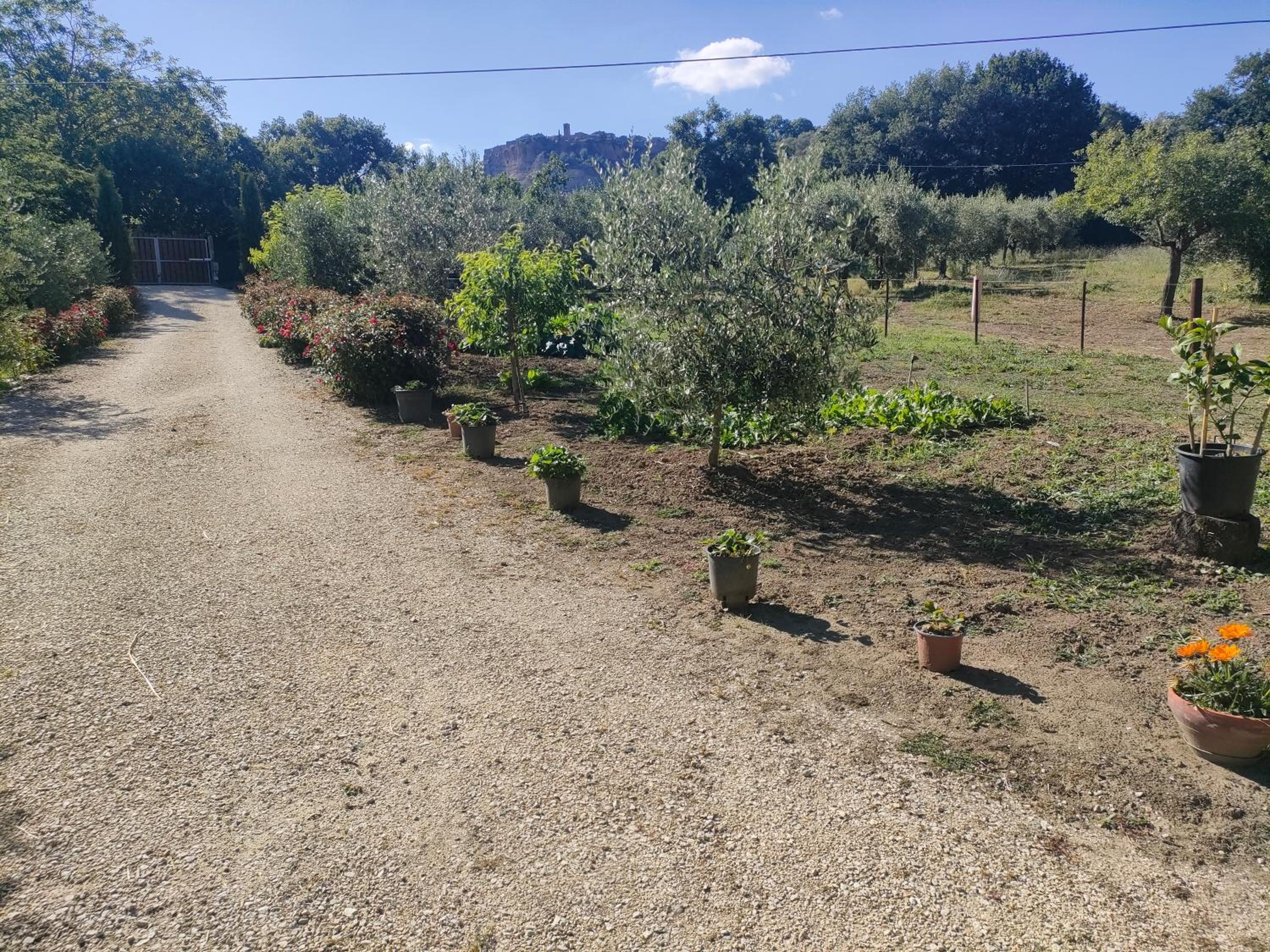 La Casetta della valle di Civita