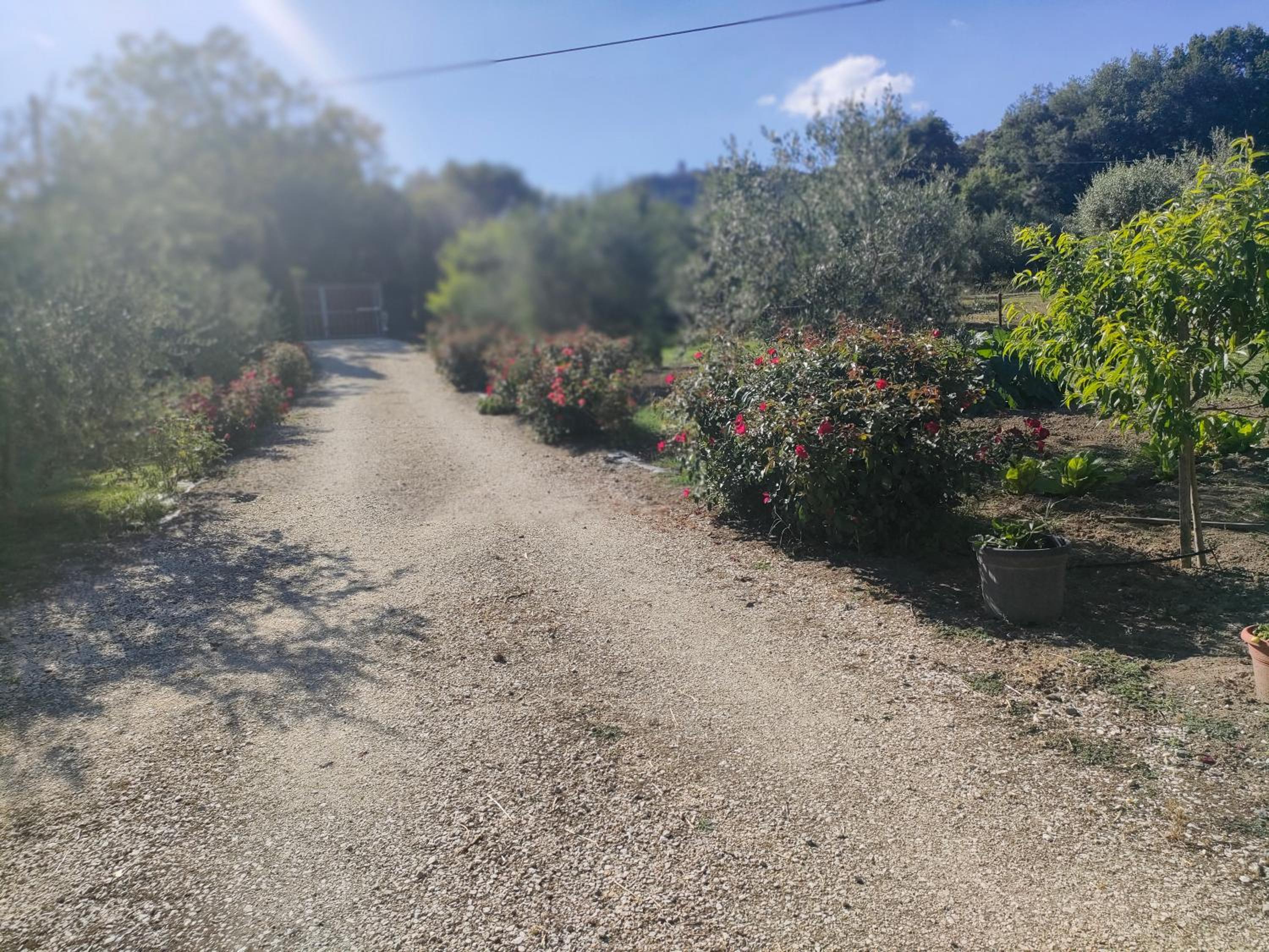 La Casetta della valle di Civita