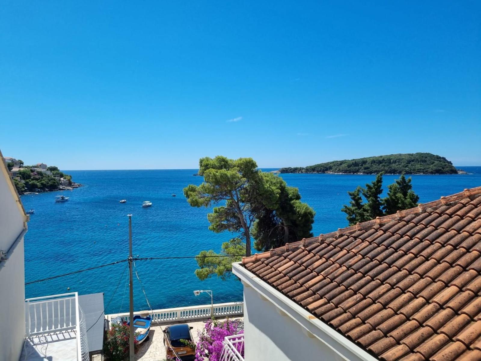 Apartments Miovic view 3