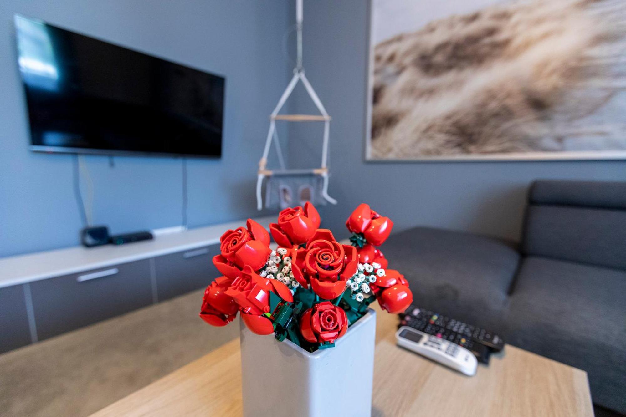 Park Apartman view 4