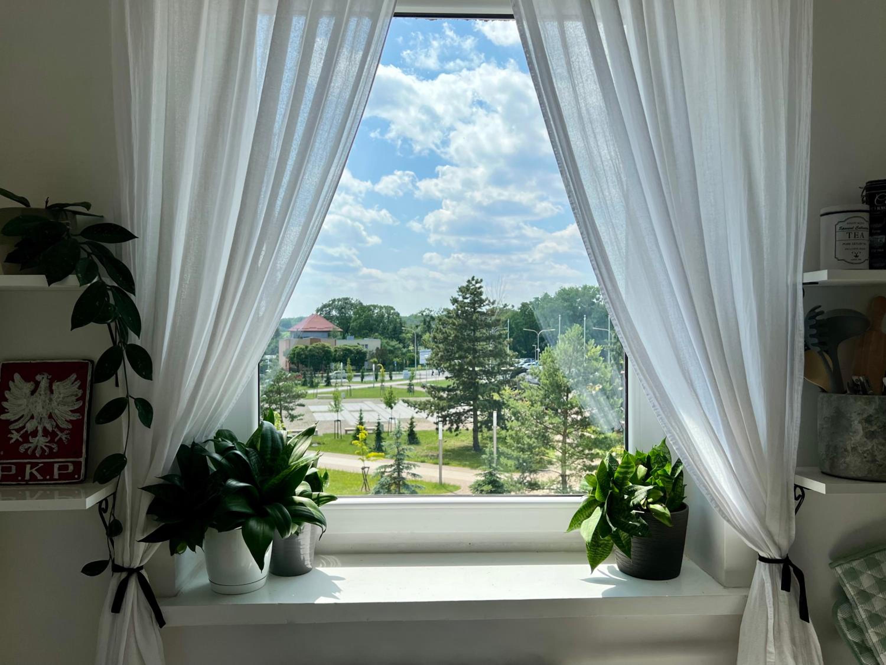 Artystyczna przestrzeń przy Zabytkowym Dworcu, photo 30