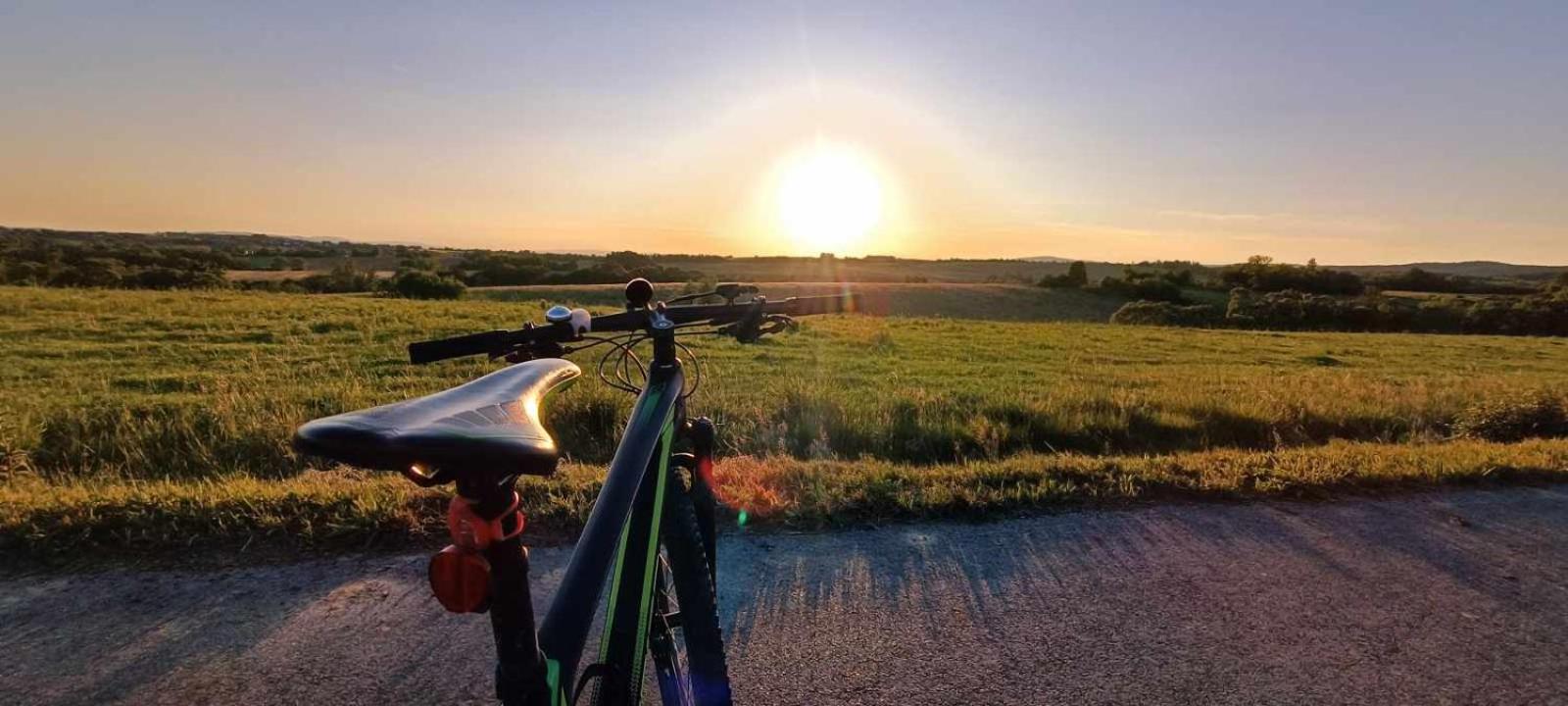 Green Gold view 5