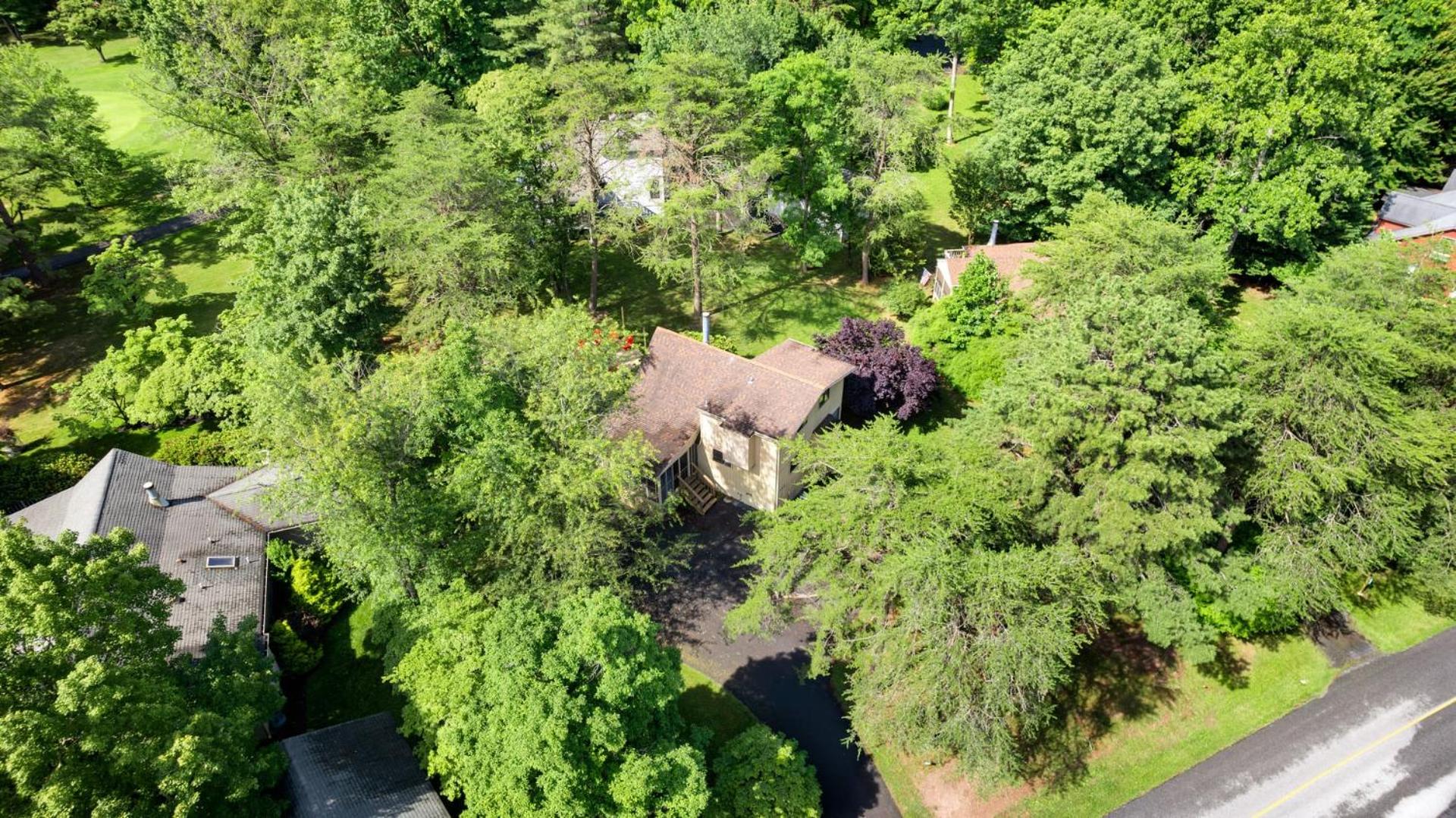 Modern chalet w hot tub, fire pit & pet-friendly view 4