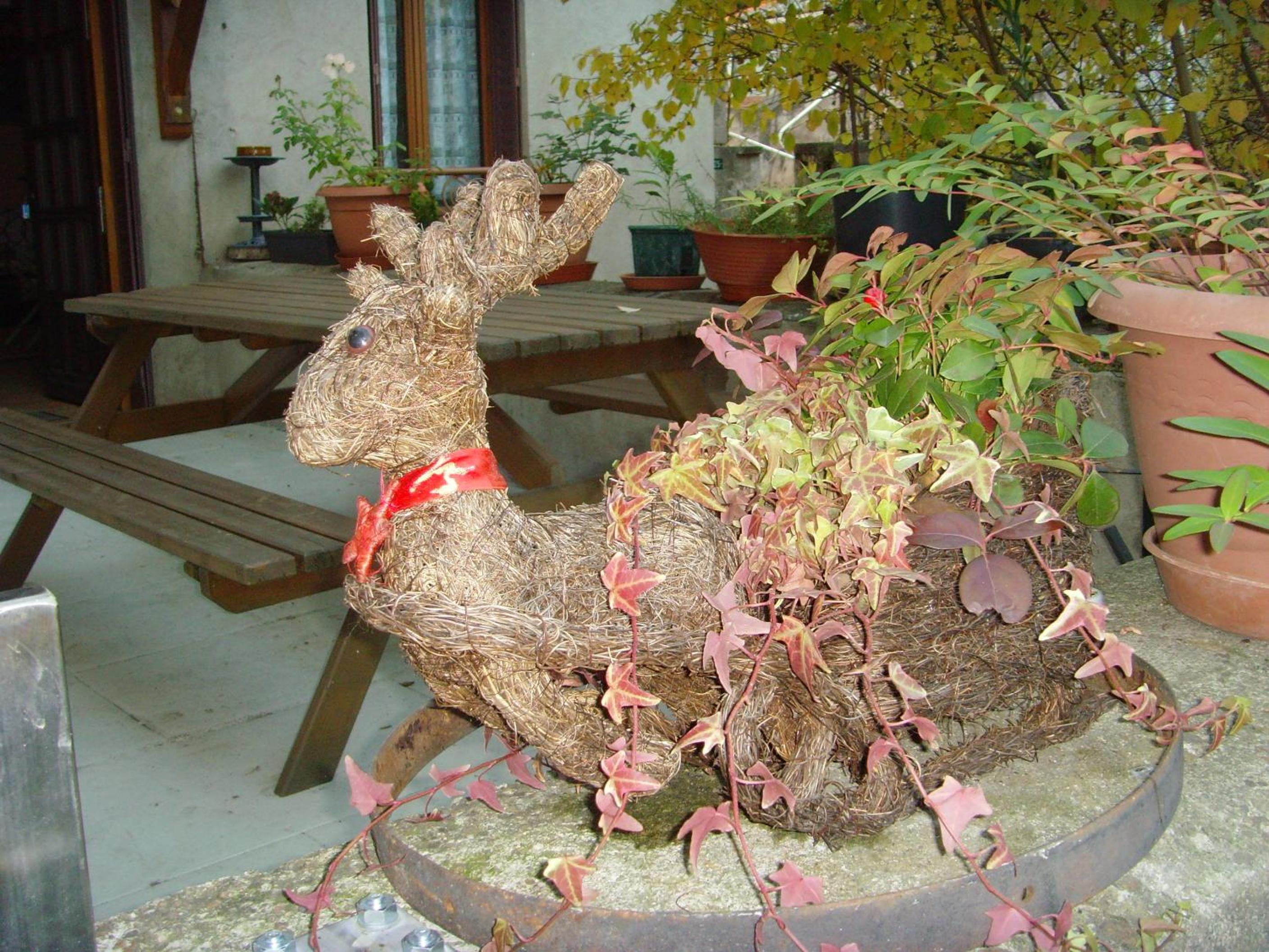 Photo 43
