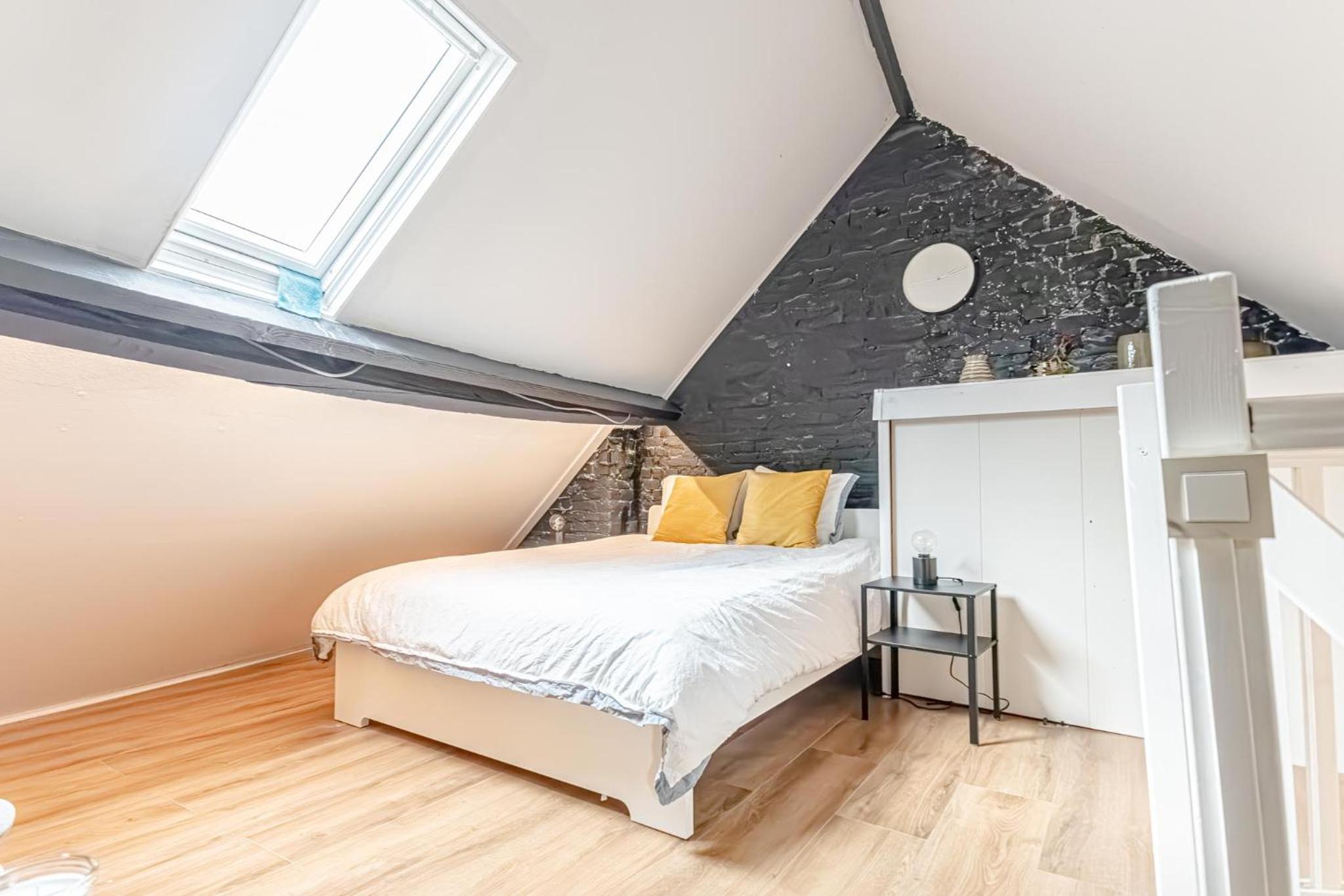 Spacious Shared 5BR Apt in the Heart of Gent
