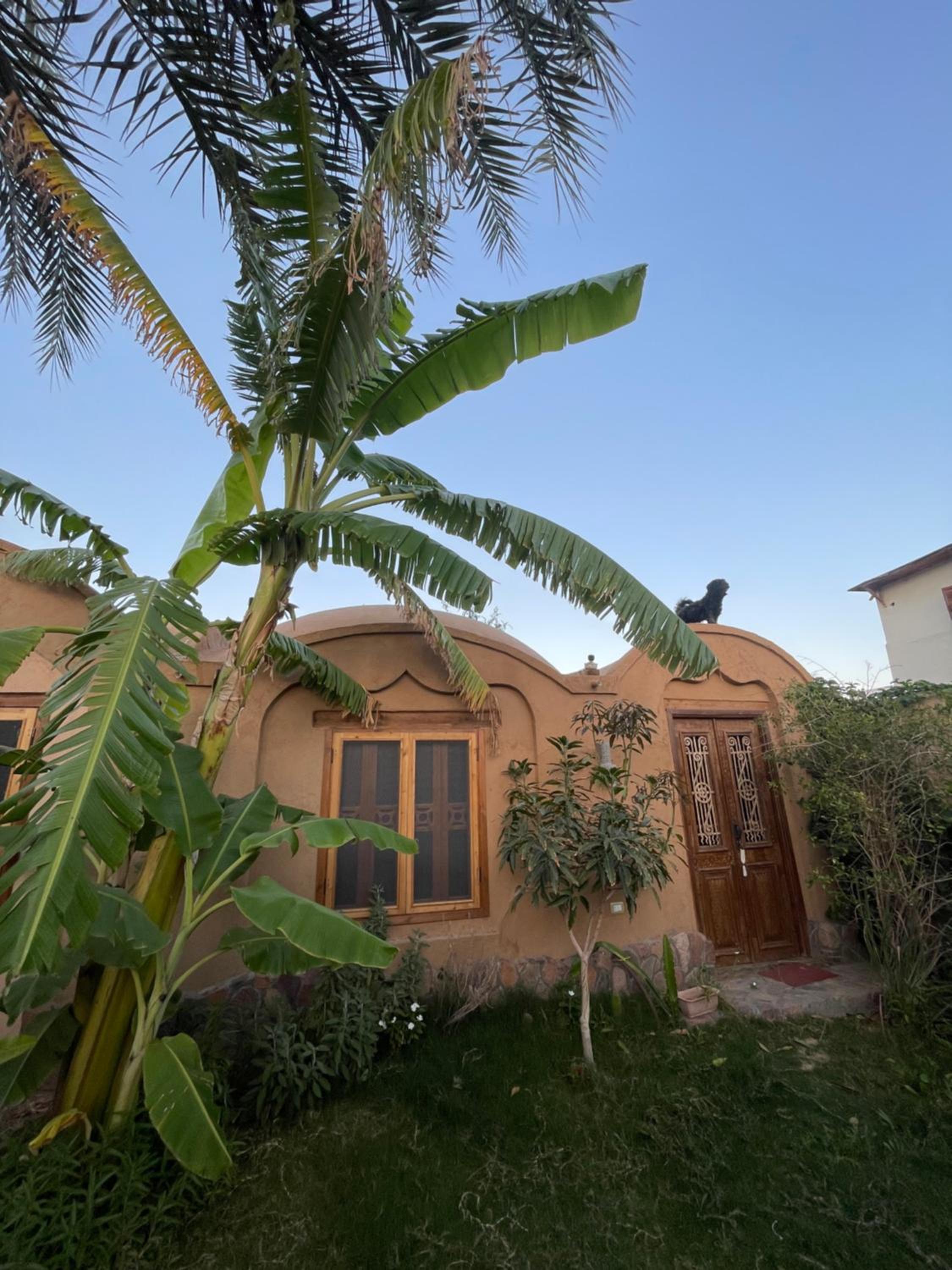 Mannam guesthouse & beautiful garden