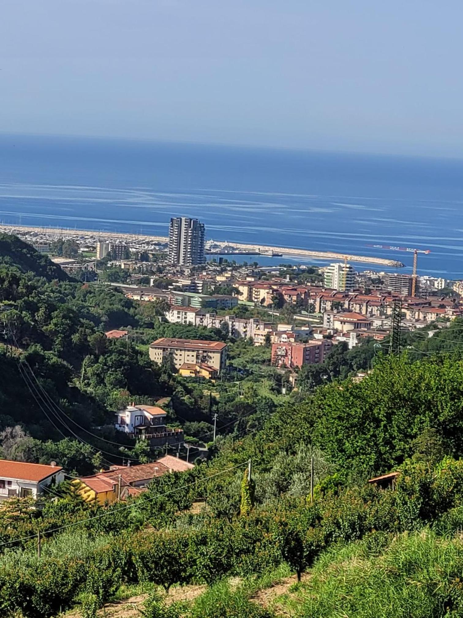 Il limoneto di Giovi view 2