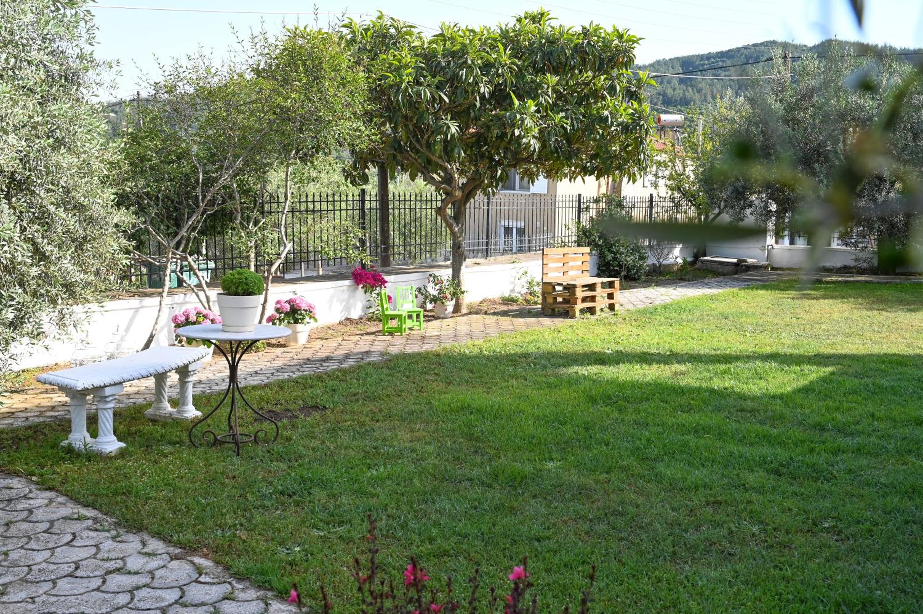 Photo 6