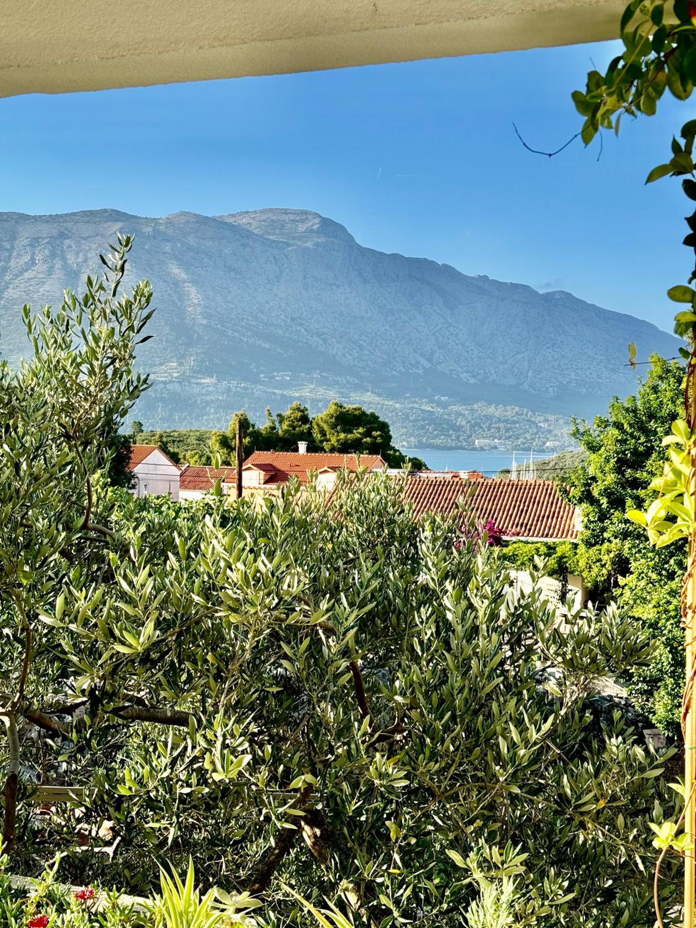 Villa Oliva Korcula view 2