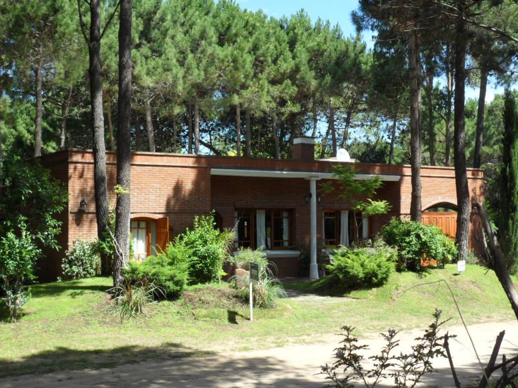 El Chimango