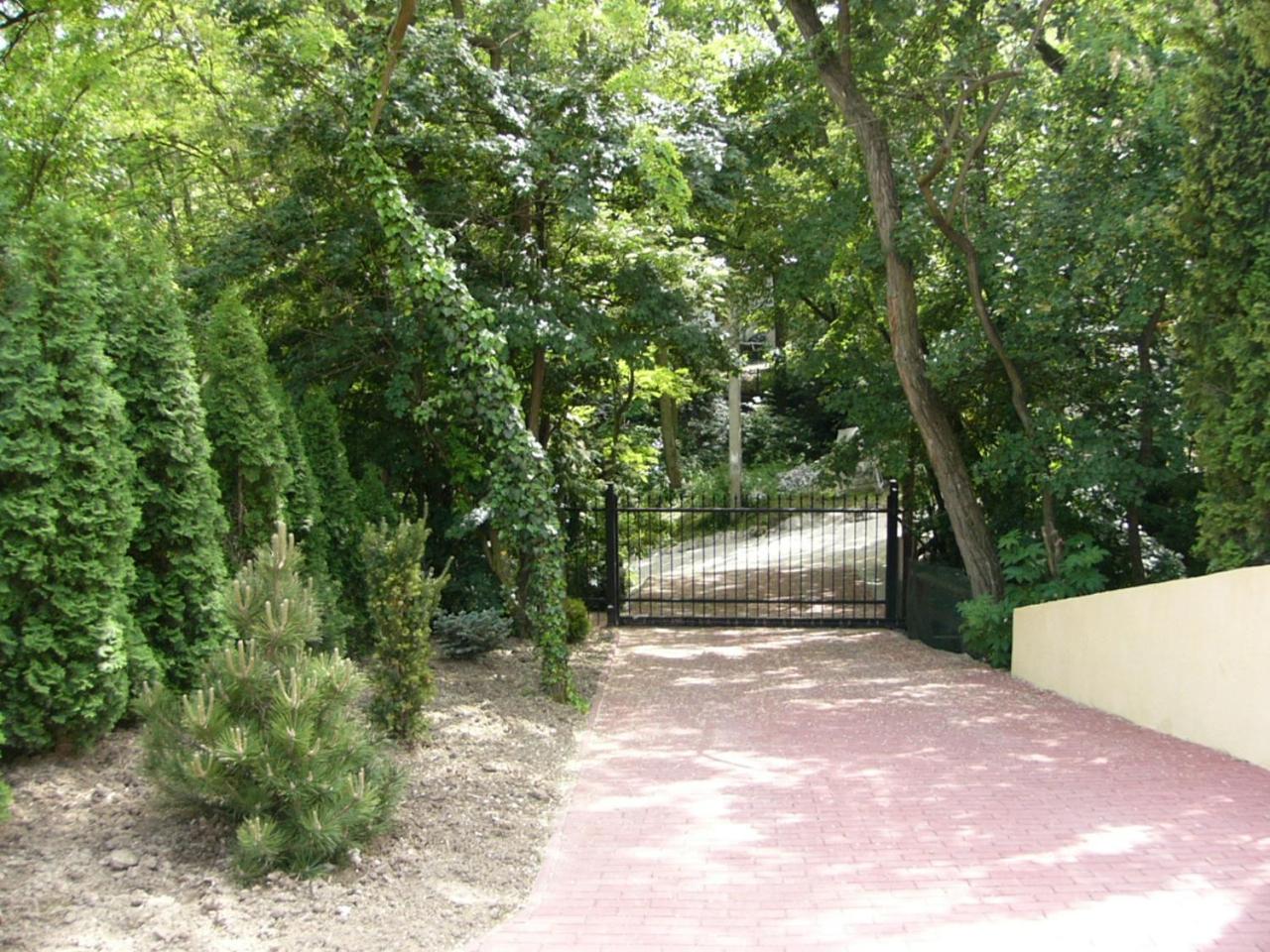 Photo 42