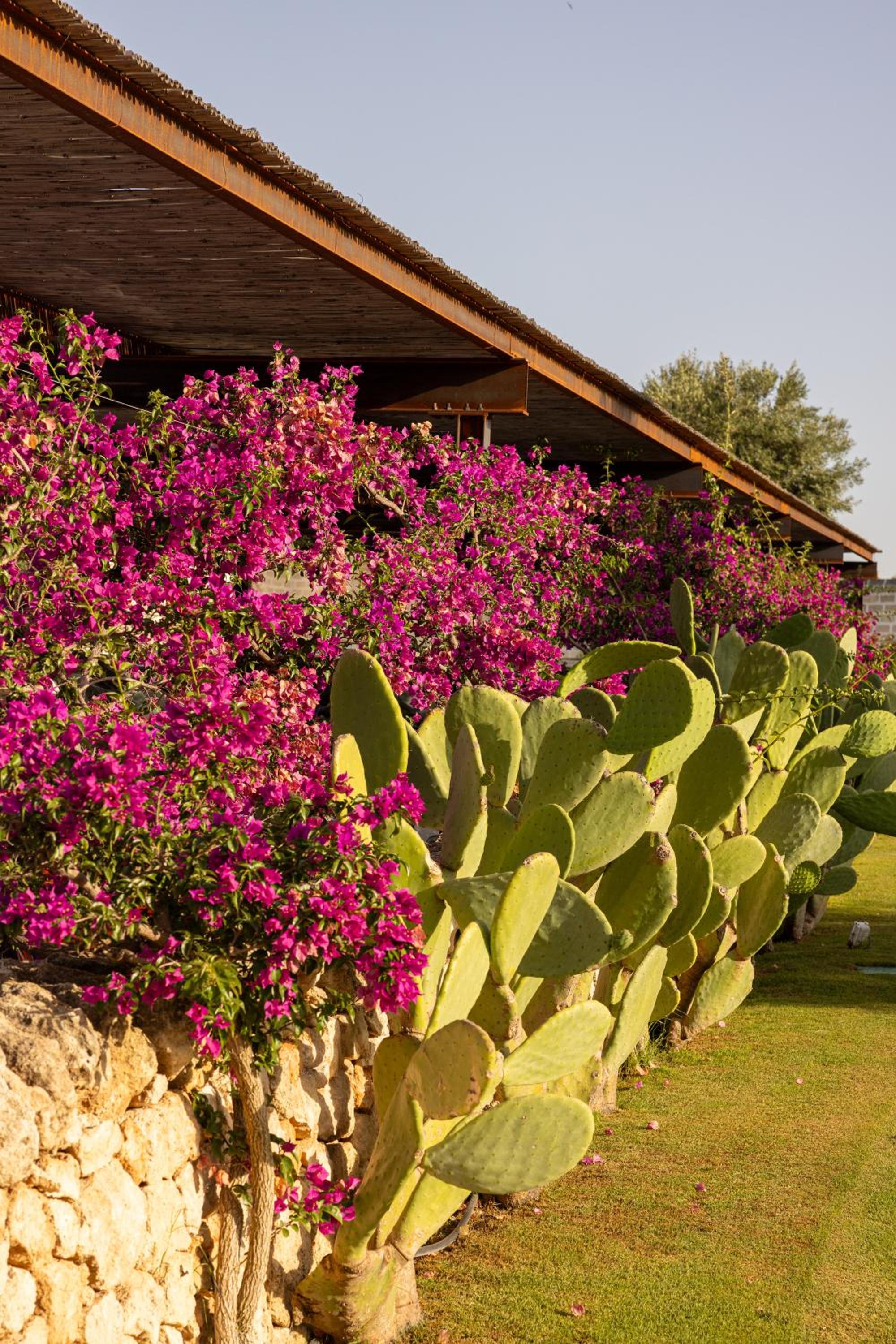 Masseria San Francesco