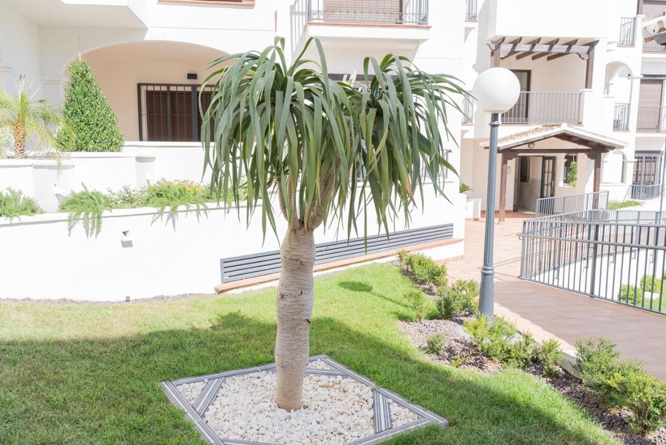 Todimer new pueblo mediteraneo
