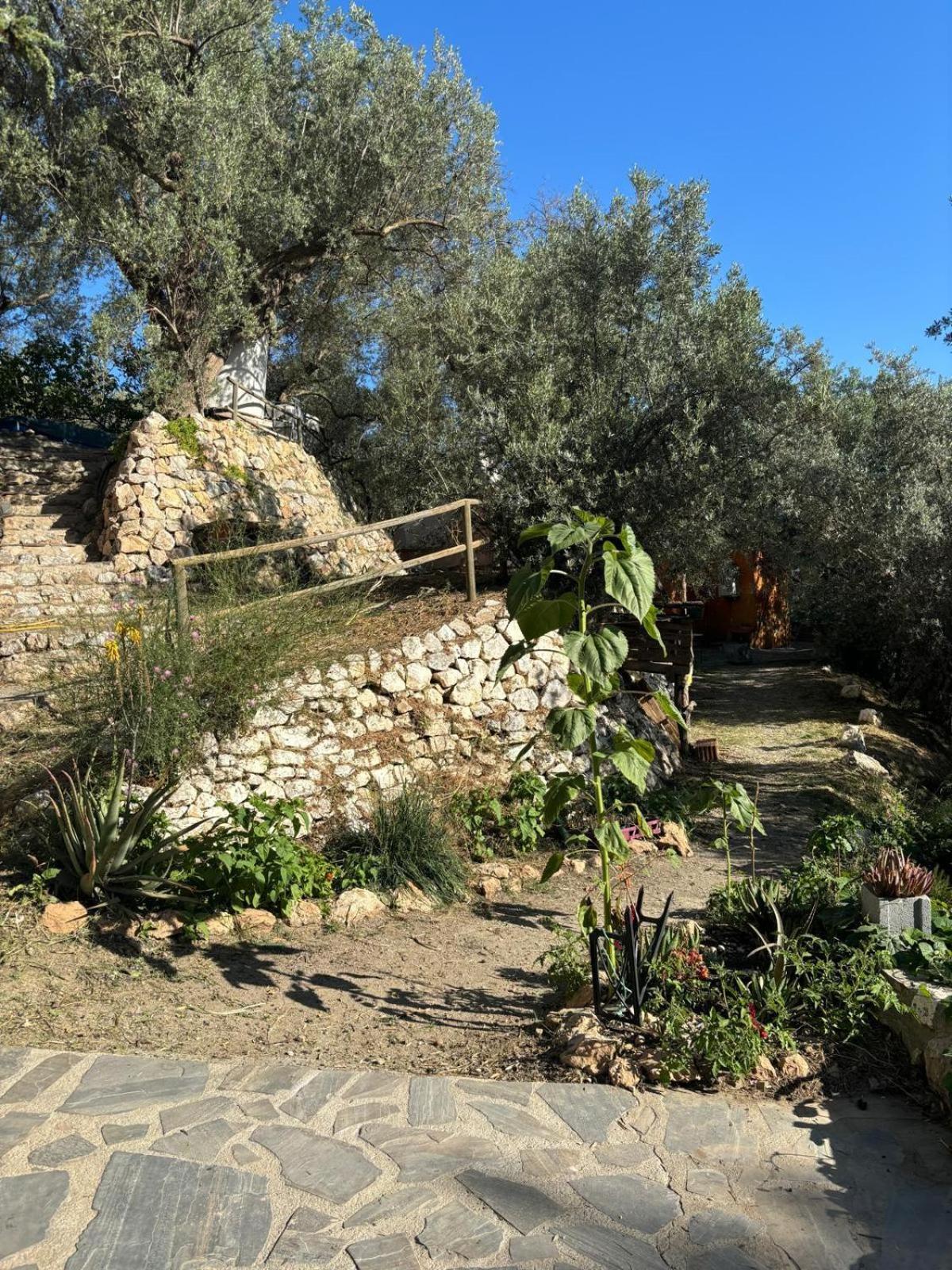 Cortijo Alpujarra Paradise