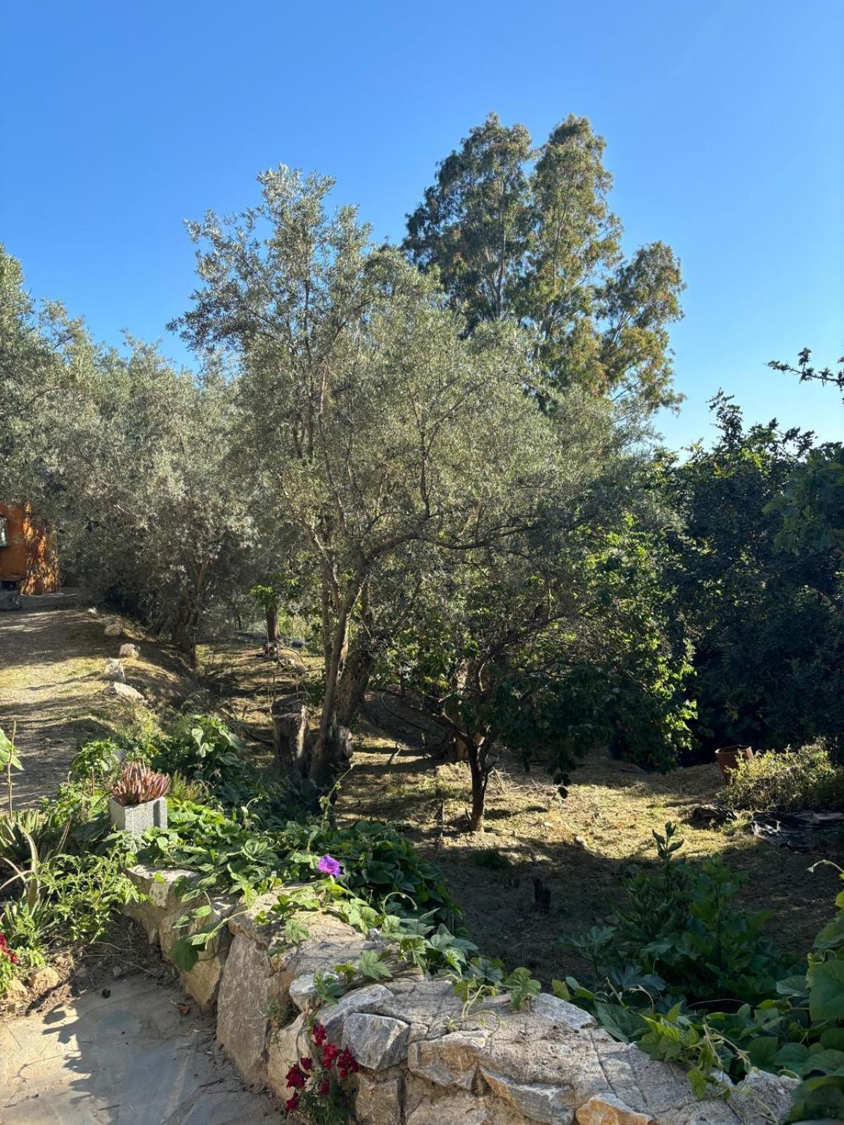 Cortijo Alpujarra Paradise