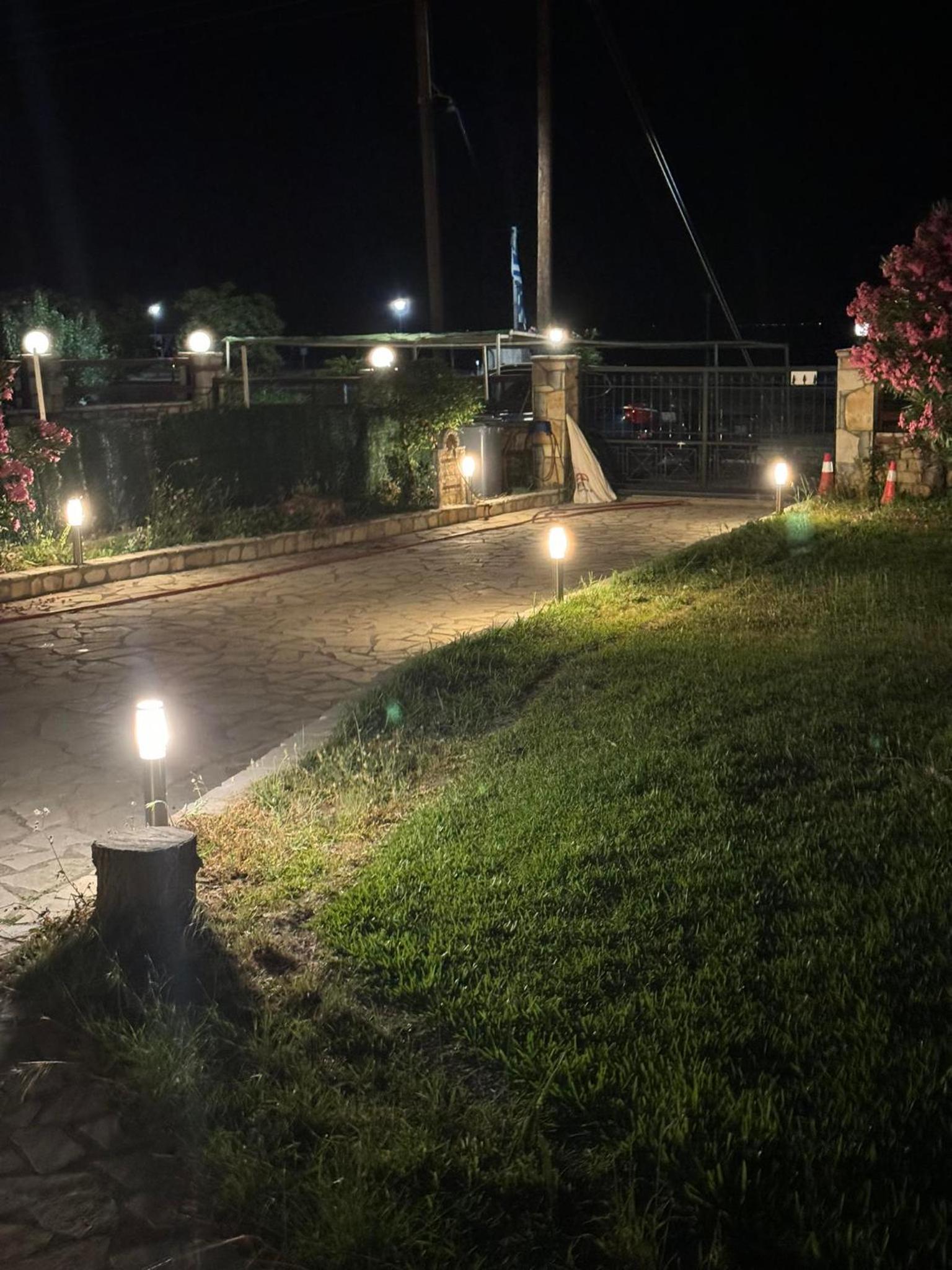 Photo 19