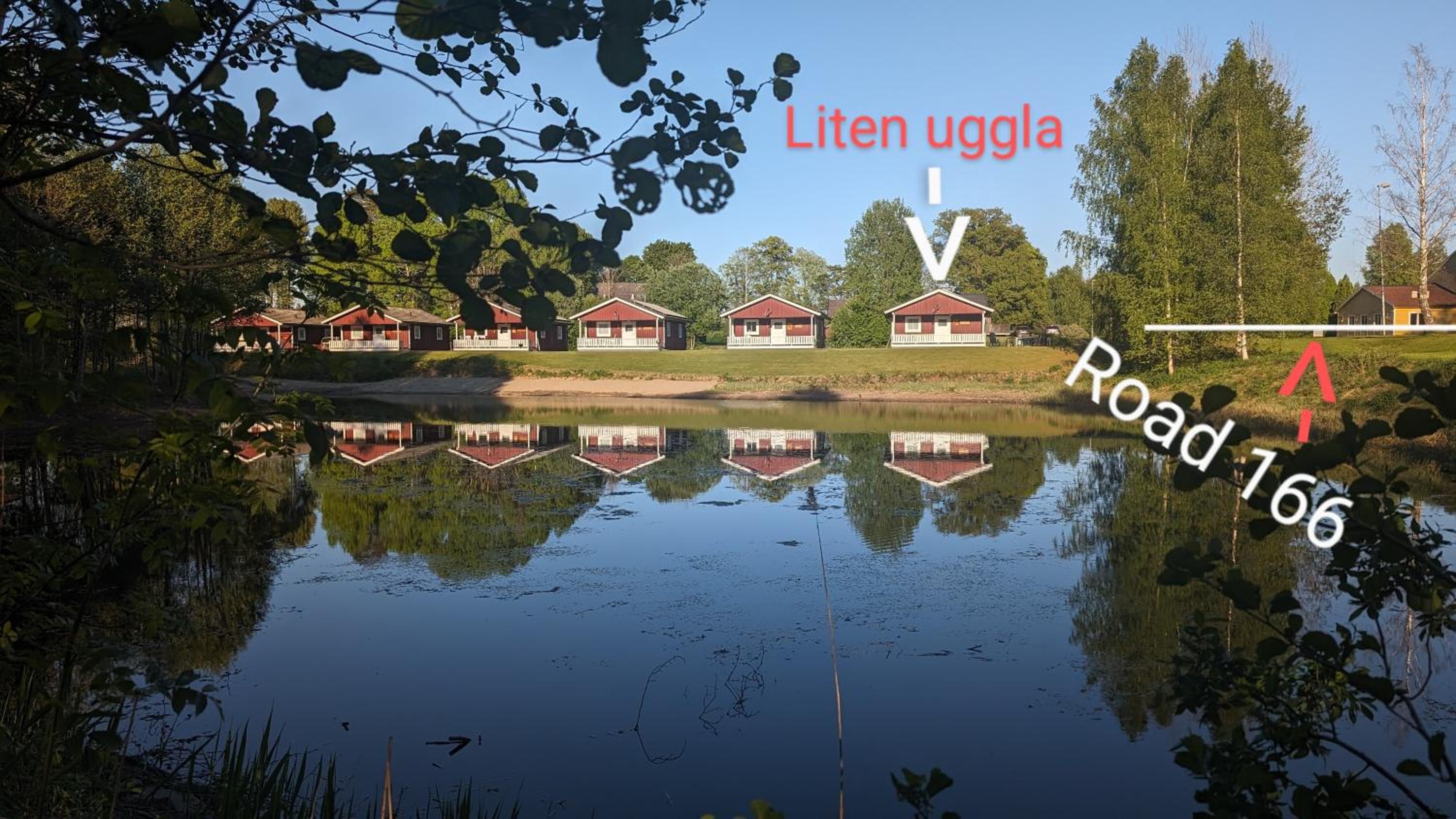 Liten uggla view 2