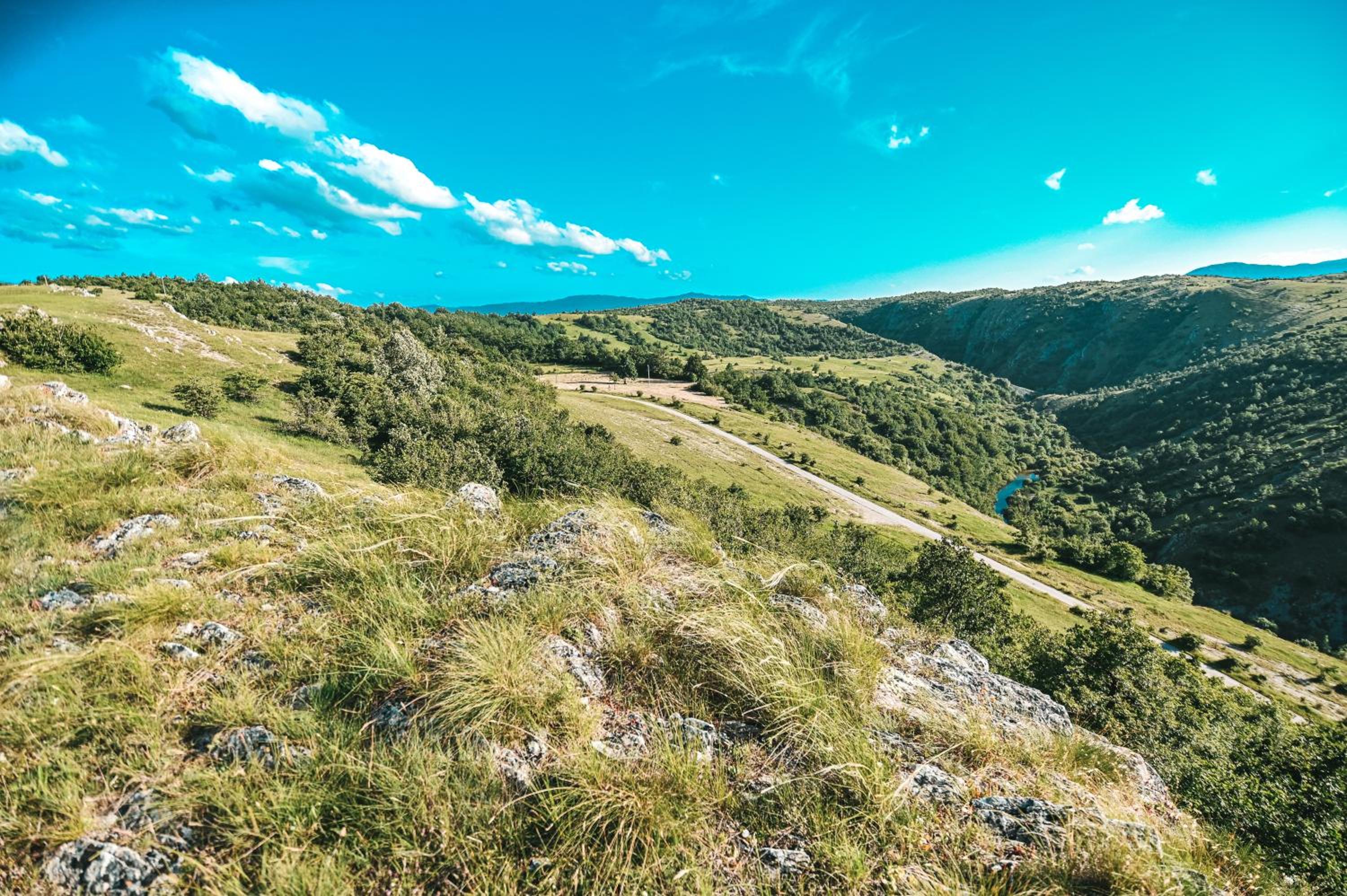 Domaćinstvo braća Rebić