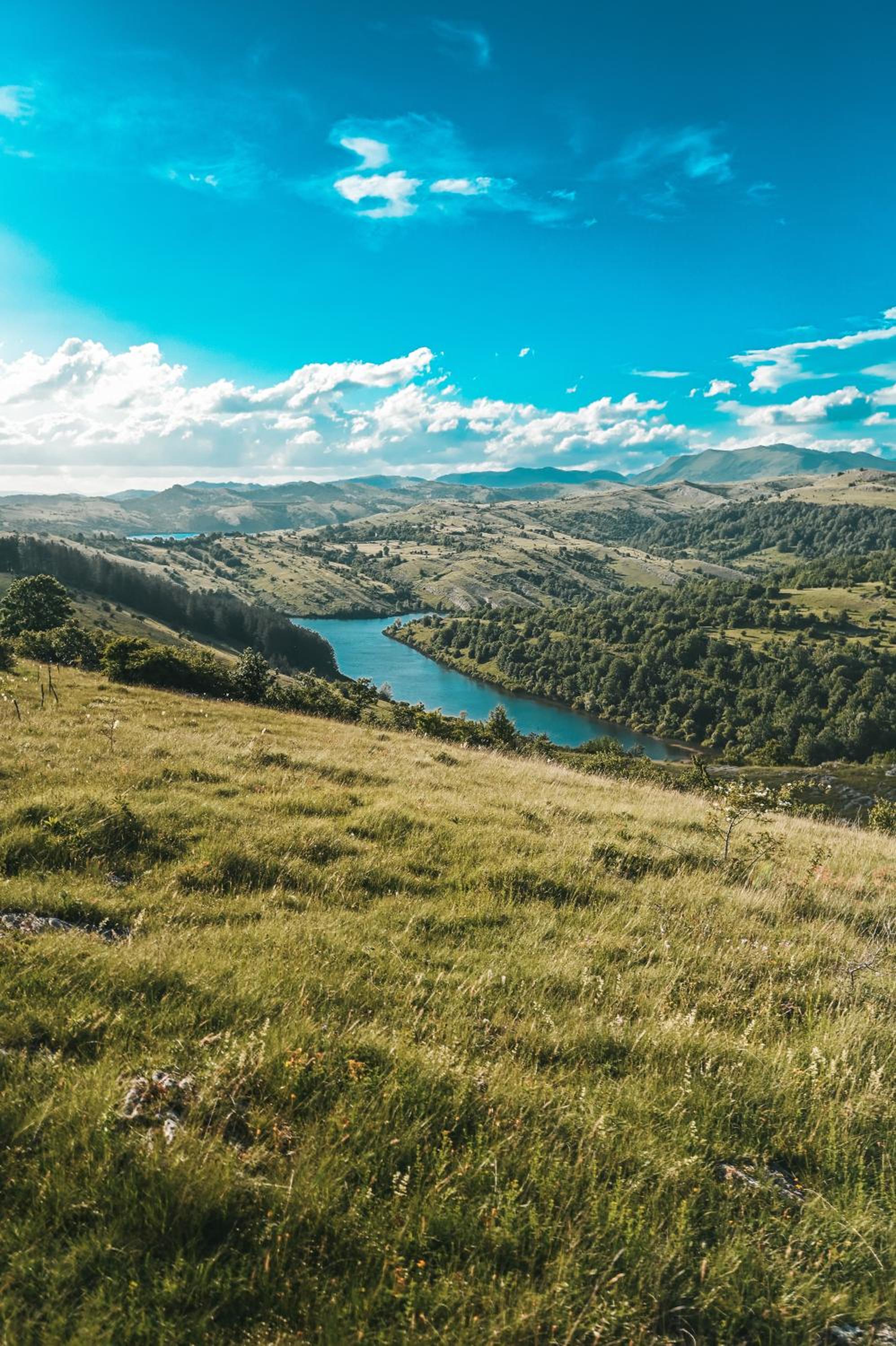 Domaćinstvo braća Rebić