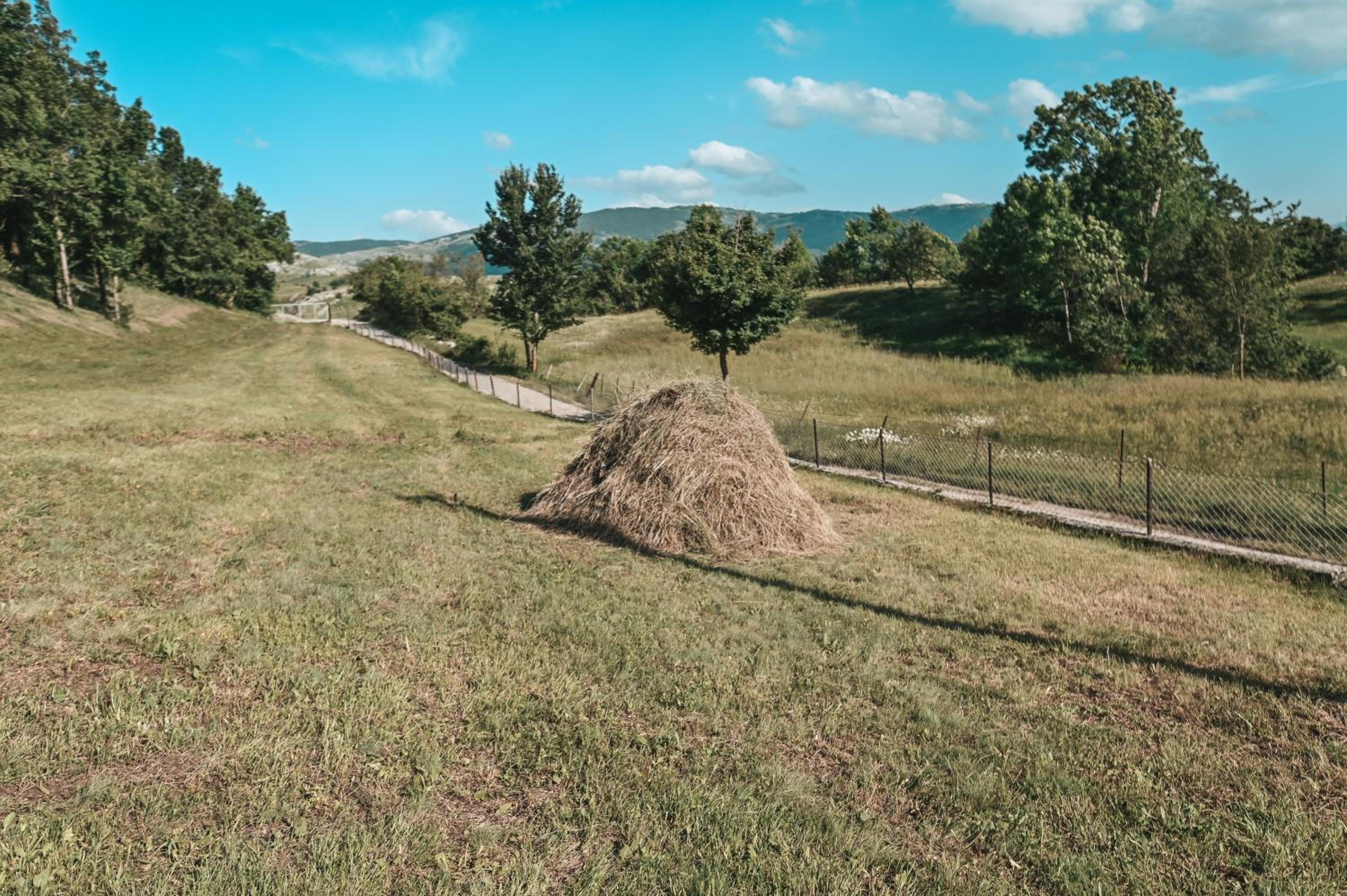 Domaćinstvo braća Rebić
