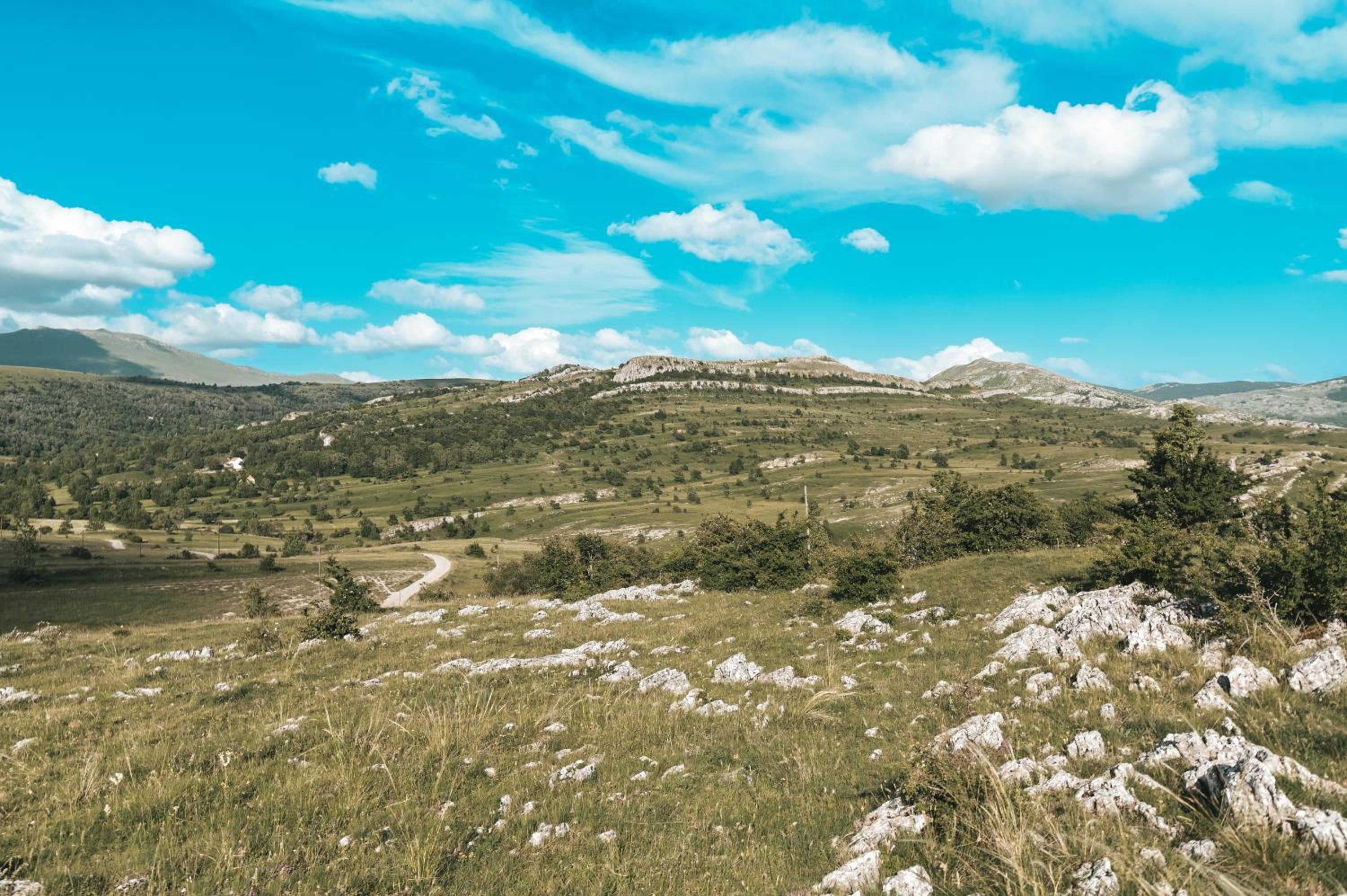 Domaćinstvo braća Rebić