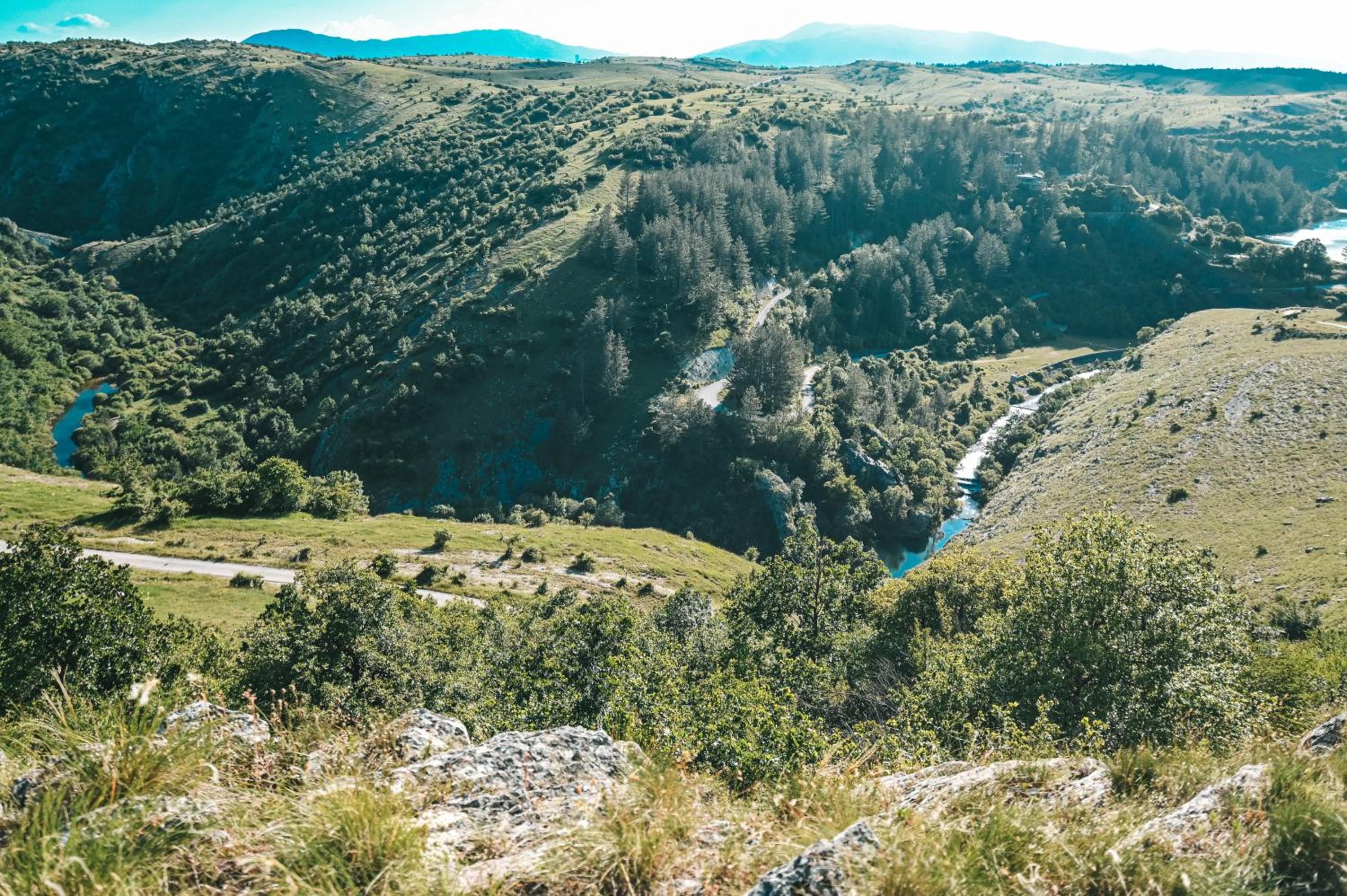 Domaćinstvo braća Rebić
