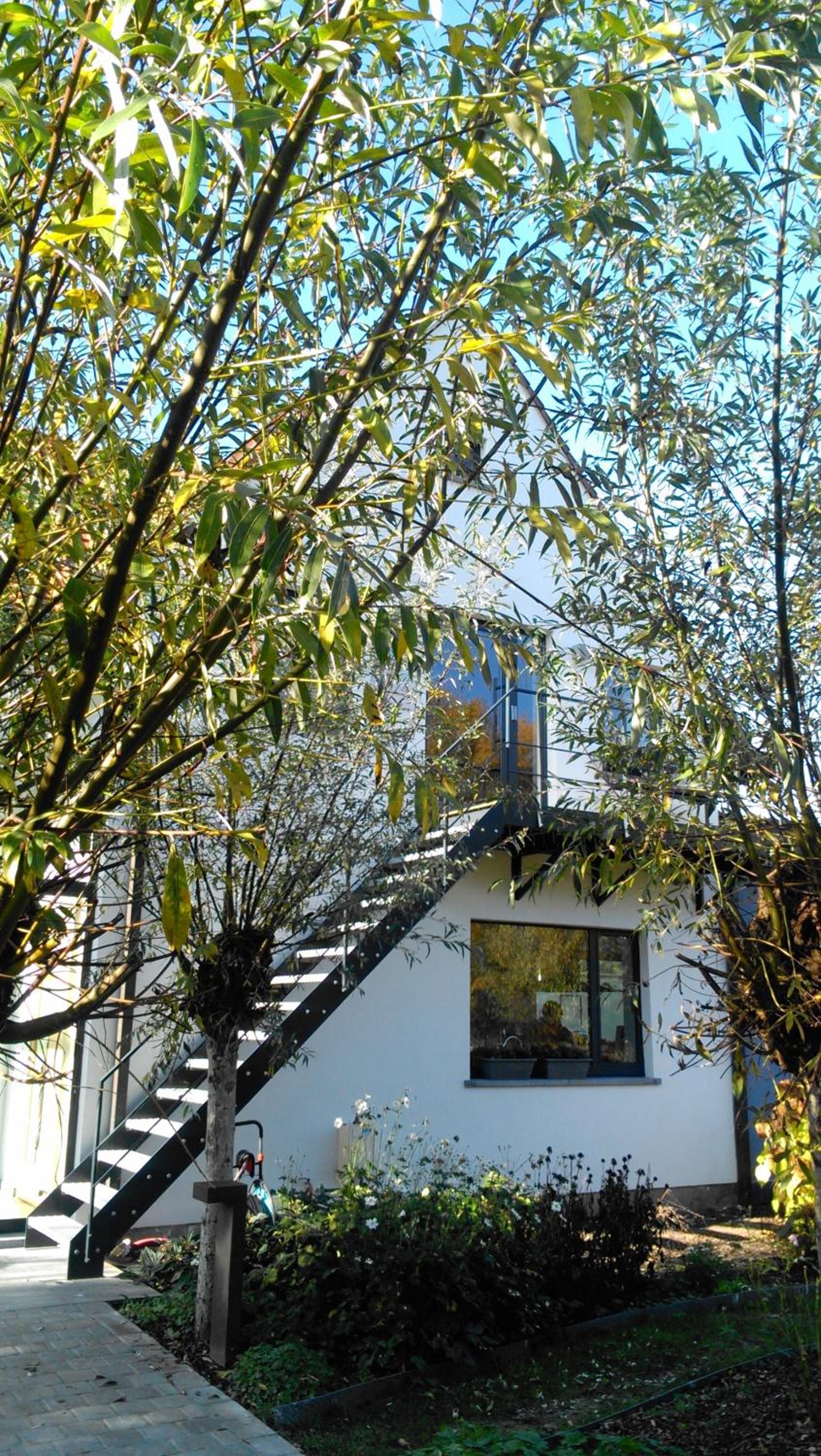 B&B Hier en Nu