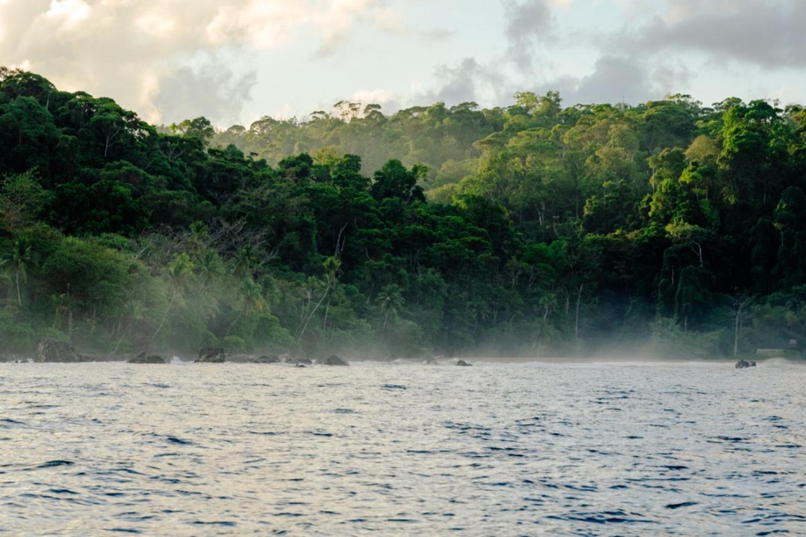 Corcovado Adventures