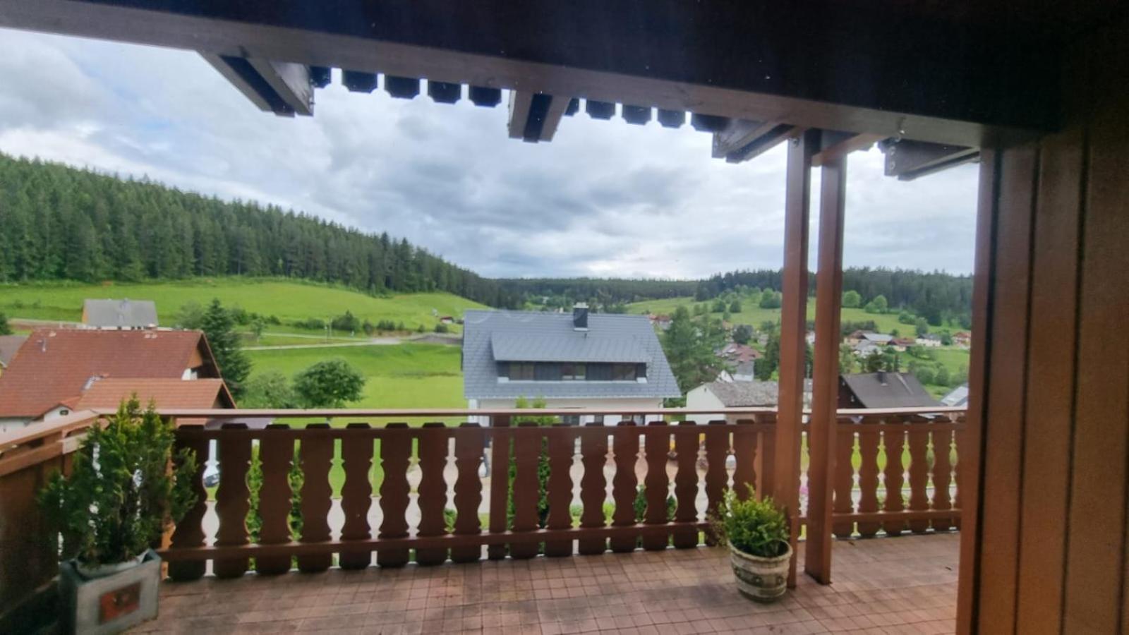 Black Forest Holidays - Auerhahn - Schwarz Wald